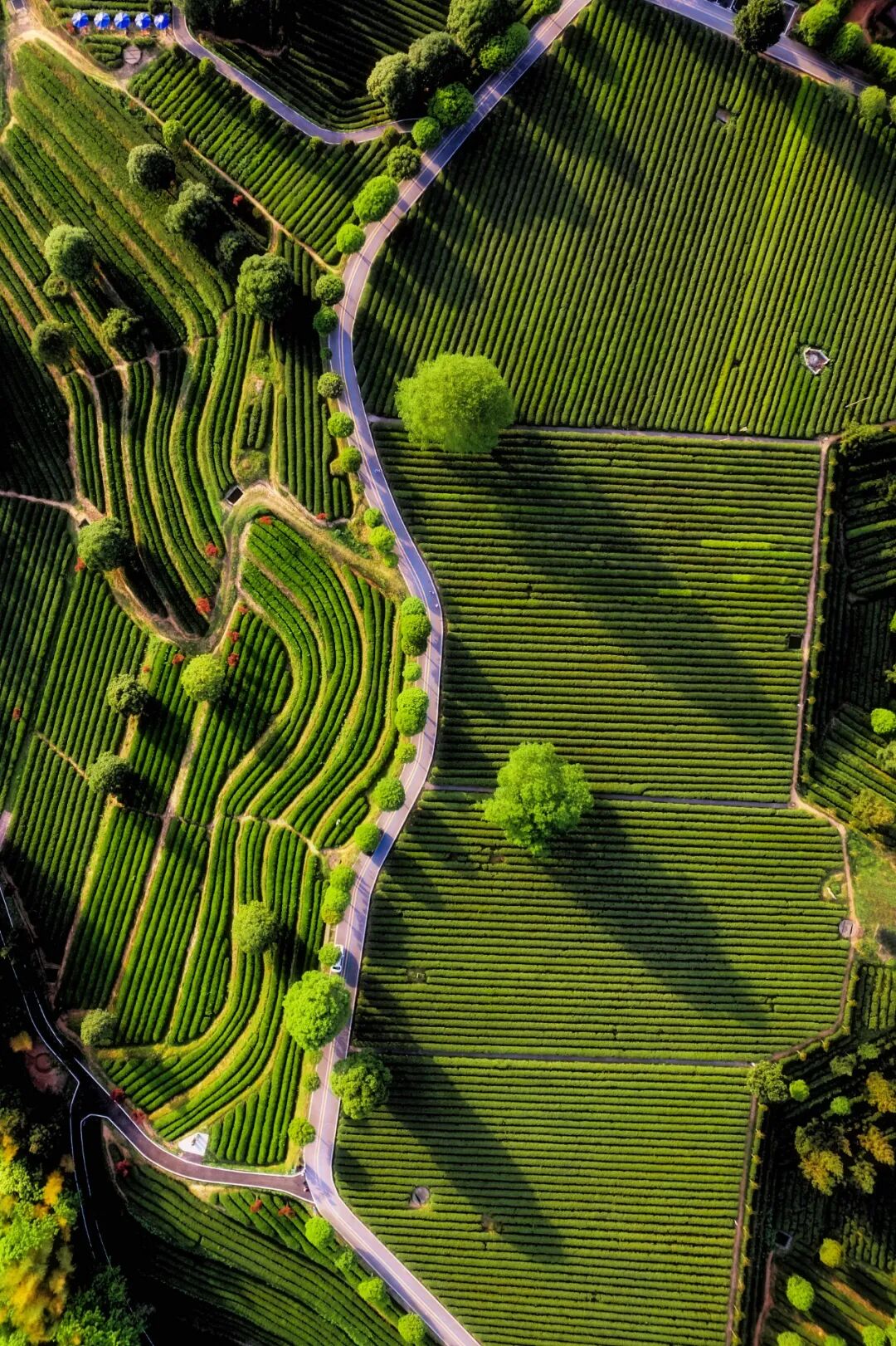 Image related to Could Hunan Be Home to China's Fifth County?