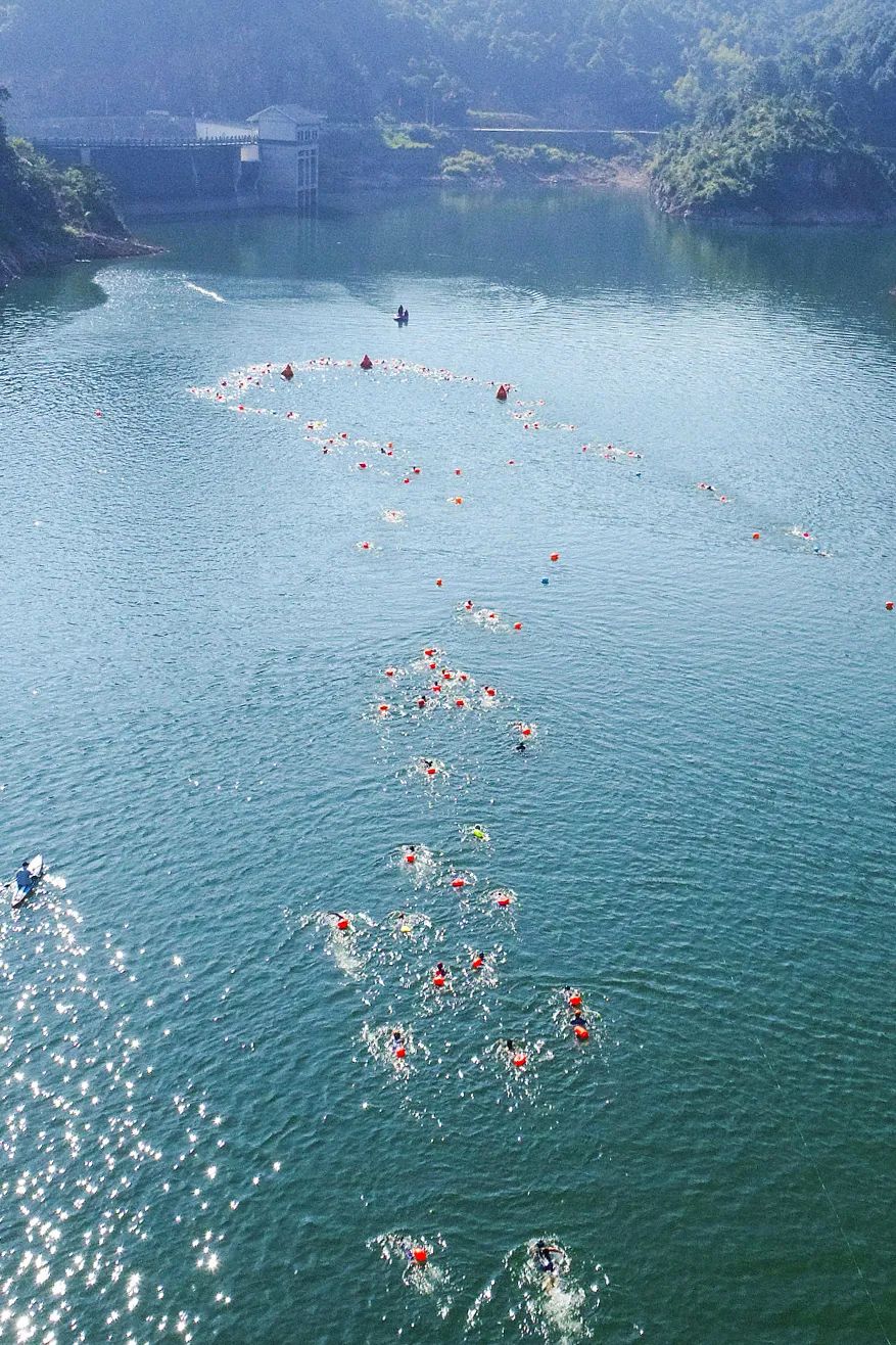 Image related to Why Is Pan Zhanle's Hometown China's Swimming Hub That Keeps Producing Champion Swimmers?