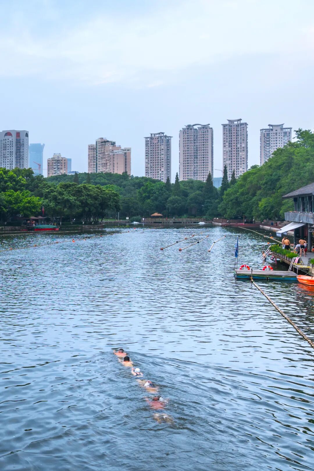 Image related to Why Is Pan Zhanle's Hometown China's Swimming Hub That Keeps Producing Champion Swimmers?