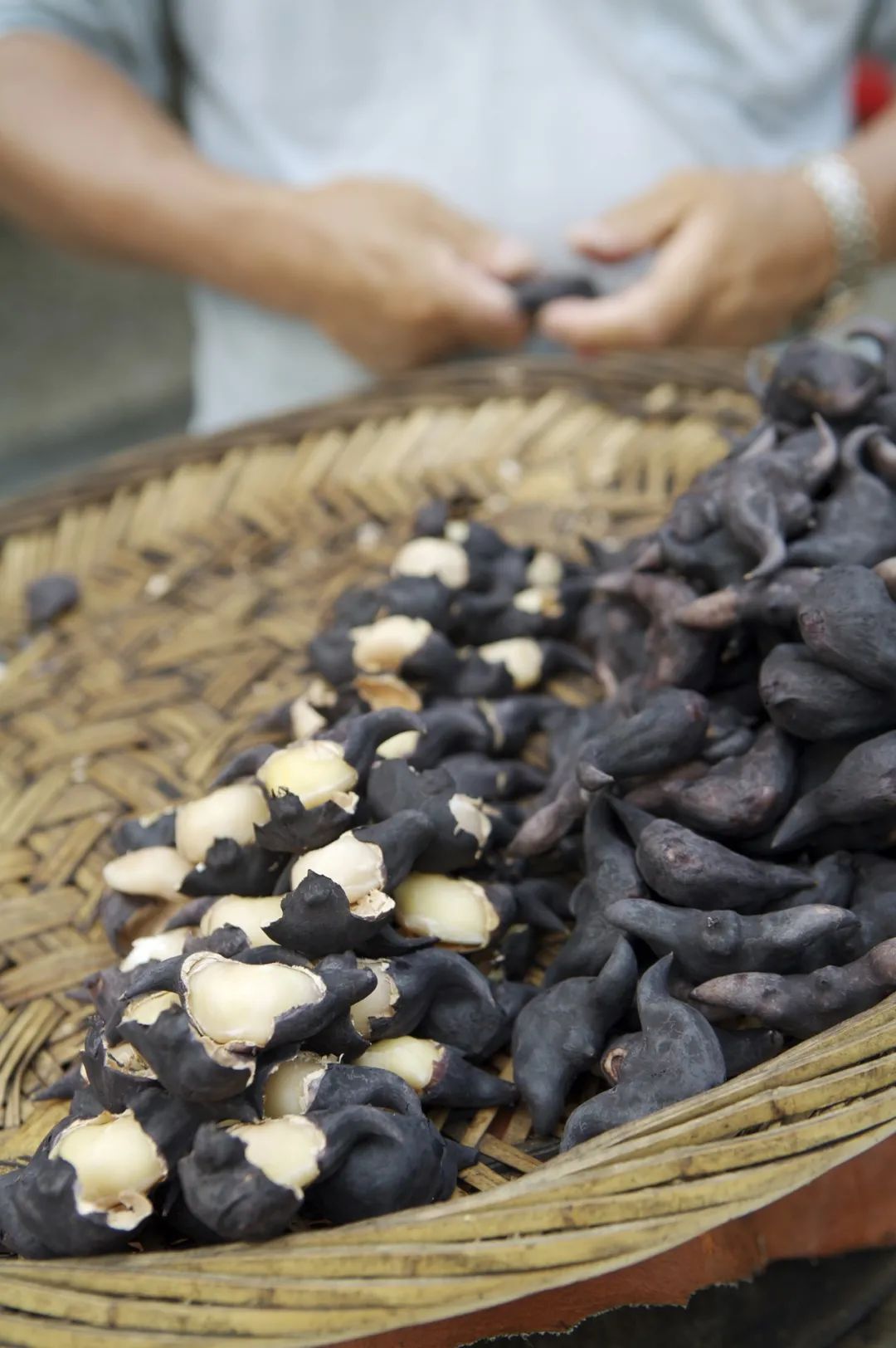 Image related to For Jiangnan People, All Nostalgia Is Found in the "Eight Aquatic Delicacies