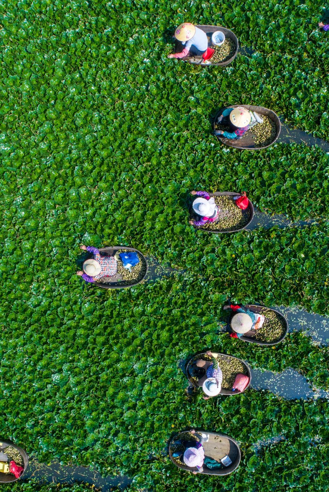 For Jiangnan People, All Nostalgia Is Found in the 