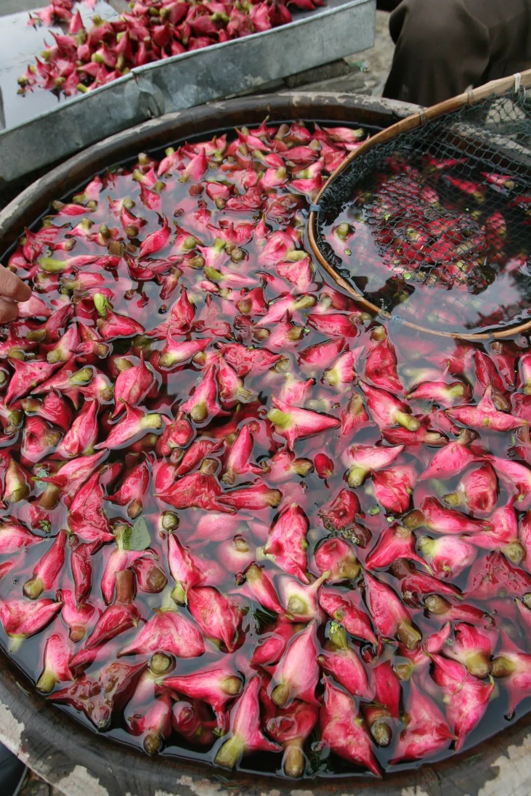 Image related to For Jiangnan People, All Nostalgia Is Found in the "Eight Aquatic Delicacies