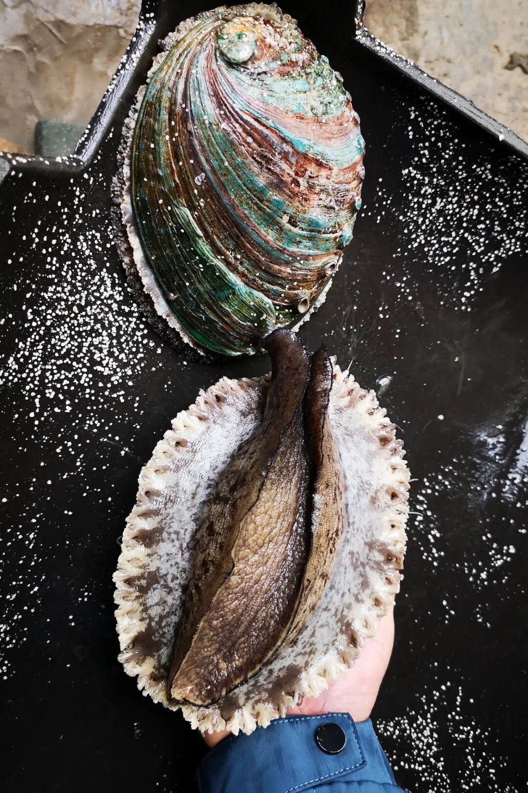 Image related to Why Fuzhou Holds the Key to Understanding Chinese Gourmet Delicacies