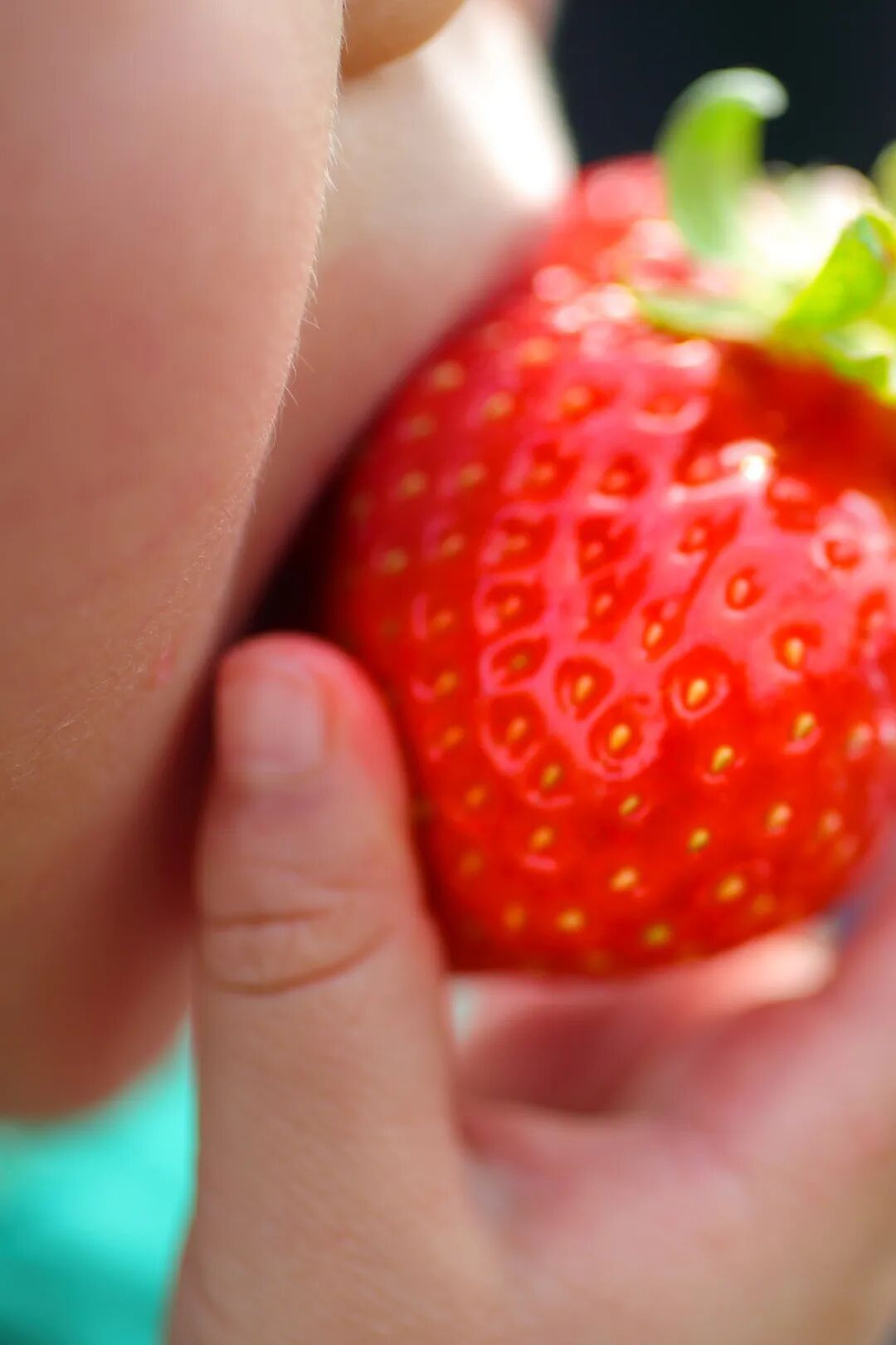 Image related to China's Fruit Lovers' Ultimate Year-End Ranking: Which Tops the List?