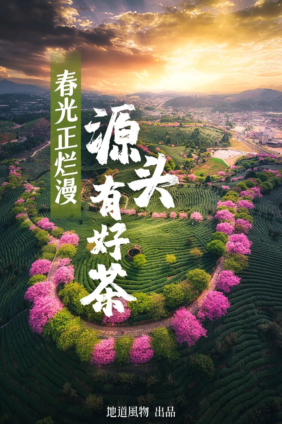 April Calls for Tea: A Guide to China's Freshest Spring Tea Origins