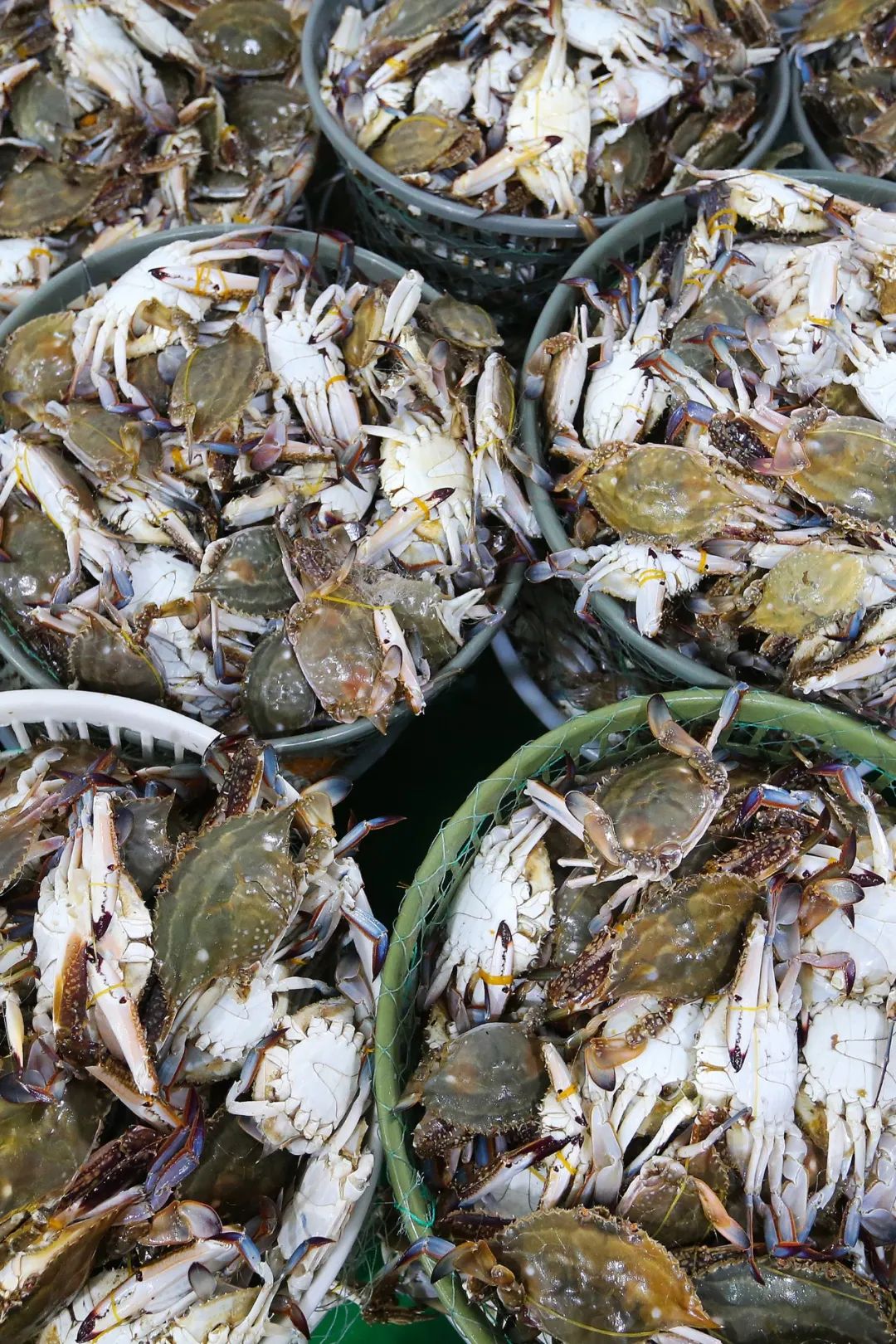 Image related to Surprise! Sun Wukong’s Hometown Is Actually Jiangsu’s Top Seafood City