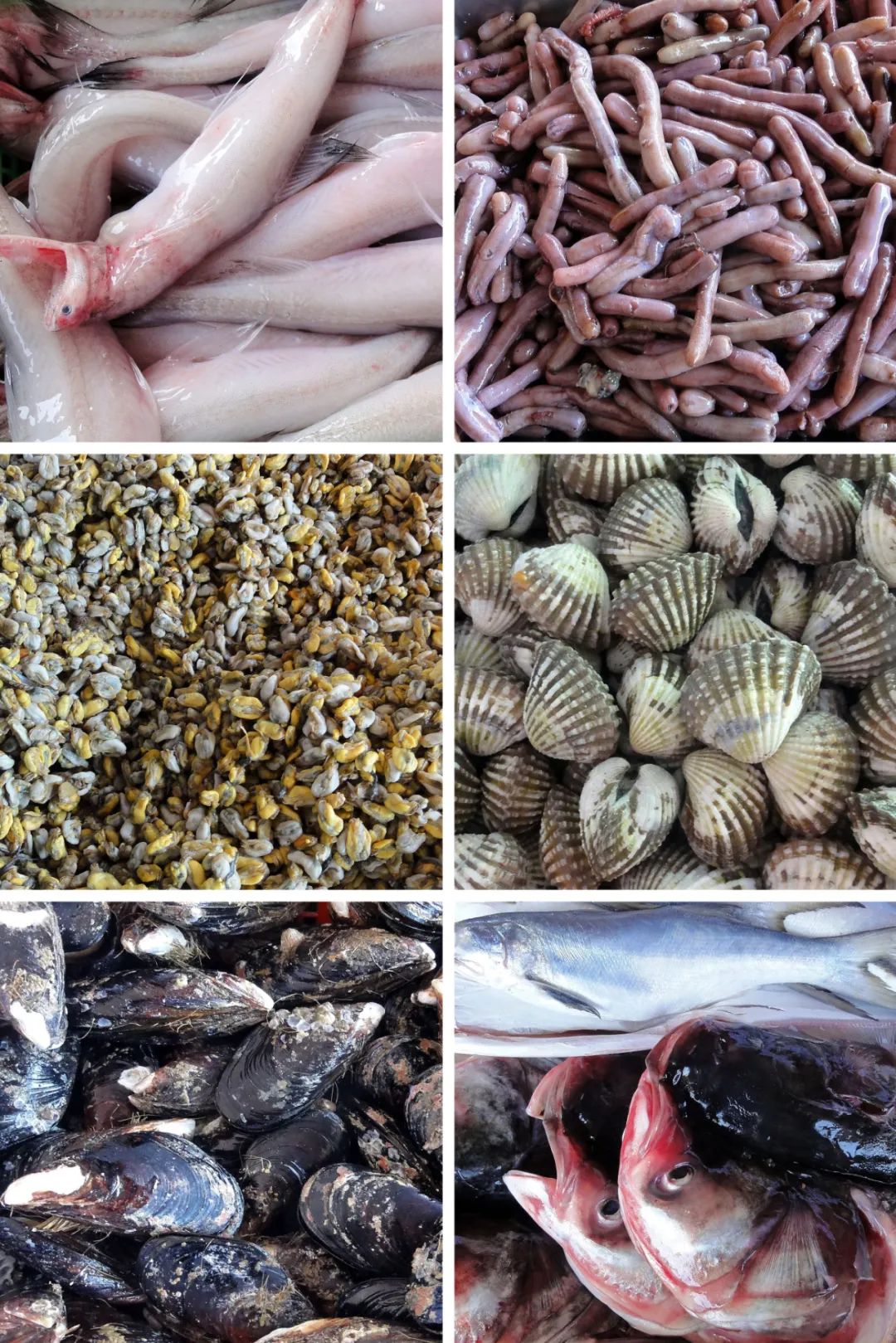 Image related to How Did This Small County in Northeast Fujian Become China's Seafood Sensation?