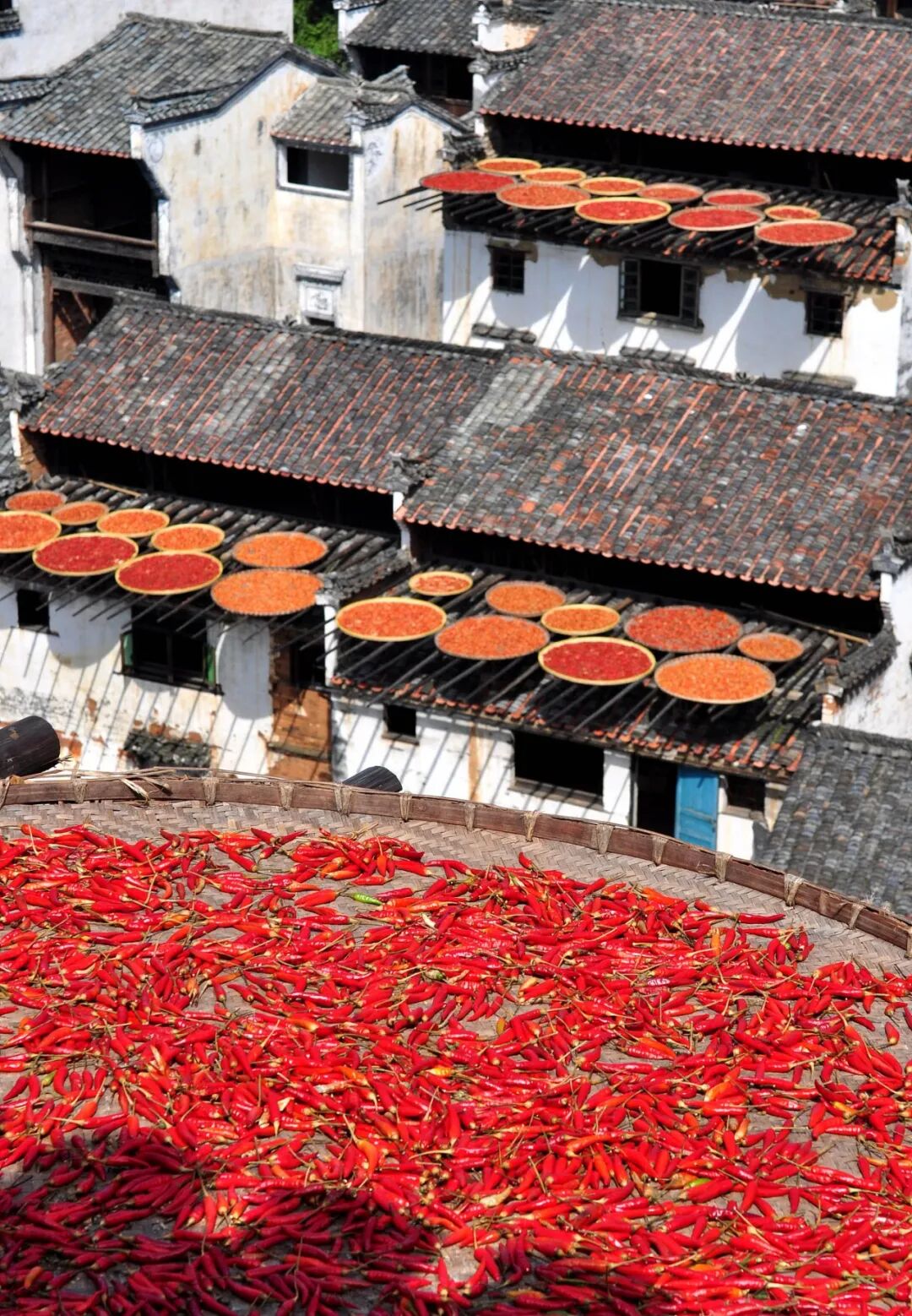 Image related to China's Spiciest Province: How Fierce Is Their Chili Pepper Rivalry?