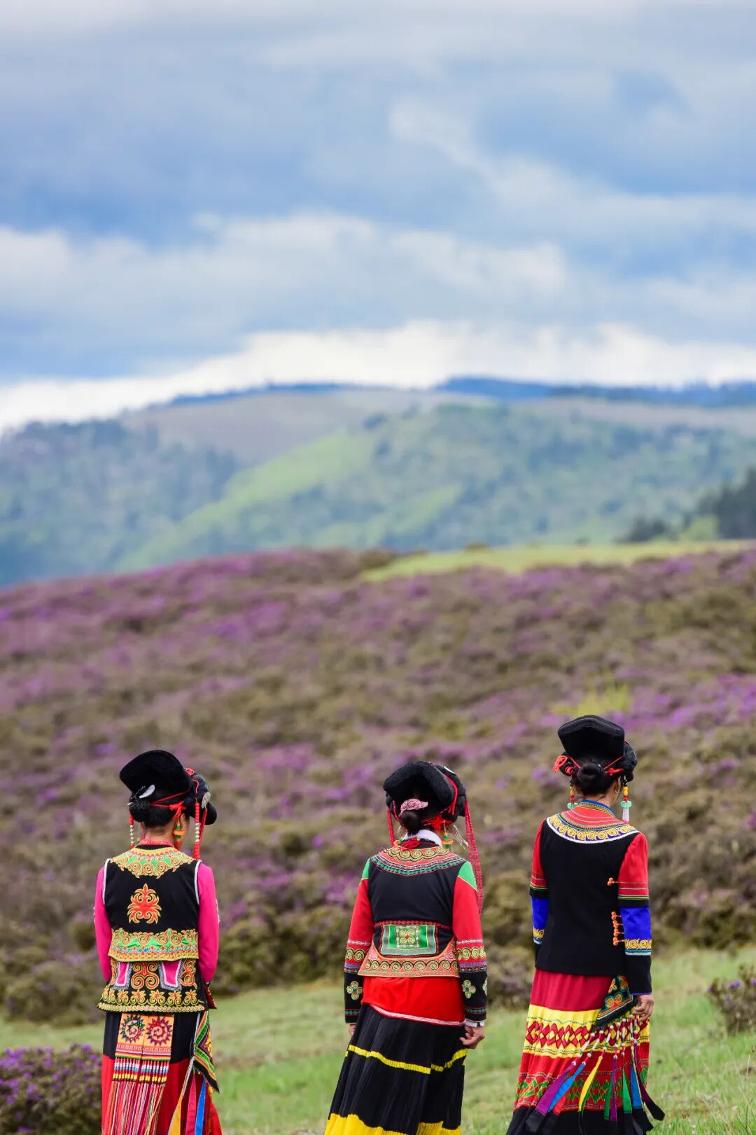 Image related to Rainforest Elephant Water Festival: Guess This Southern City Where People Wear Short Sleeves in Winter!