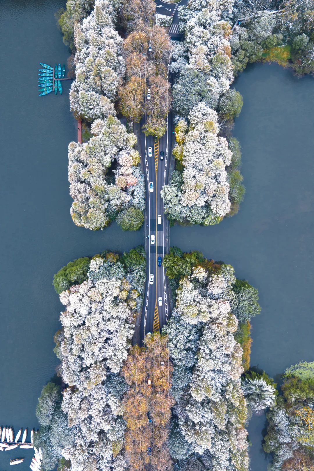 Image related to Rainforest Elephant Water Festival: Guess This Southern City Where People Wear Short Sleeves in Winter!