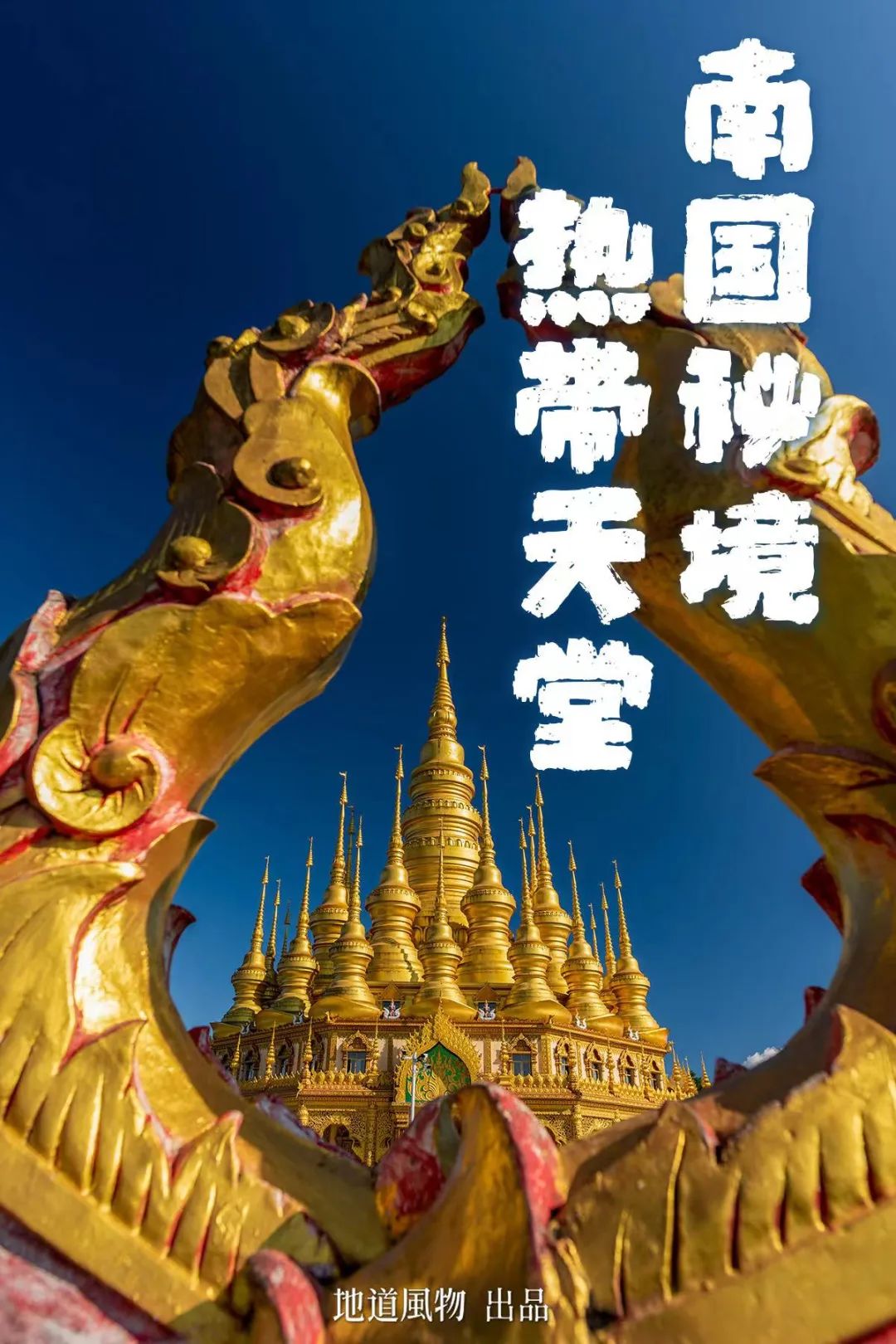 Rainforest Elephant Water Festival: Guess This Southern City Where People Wear Short Sleeves in Winter!