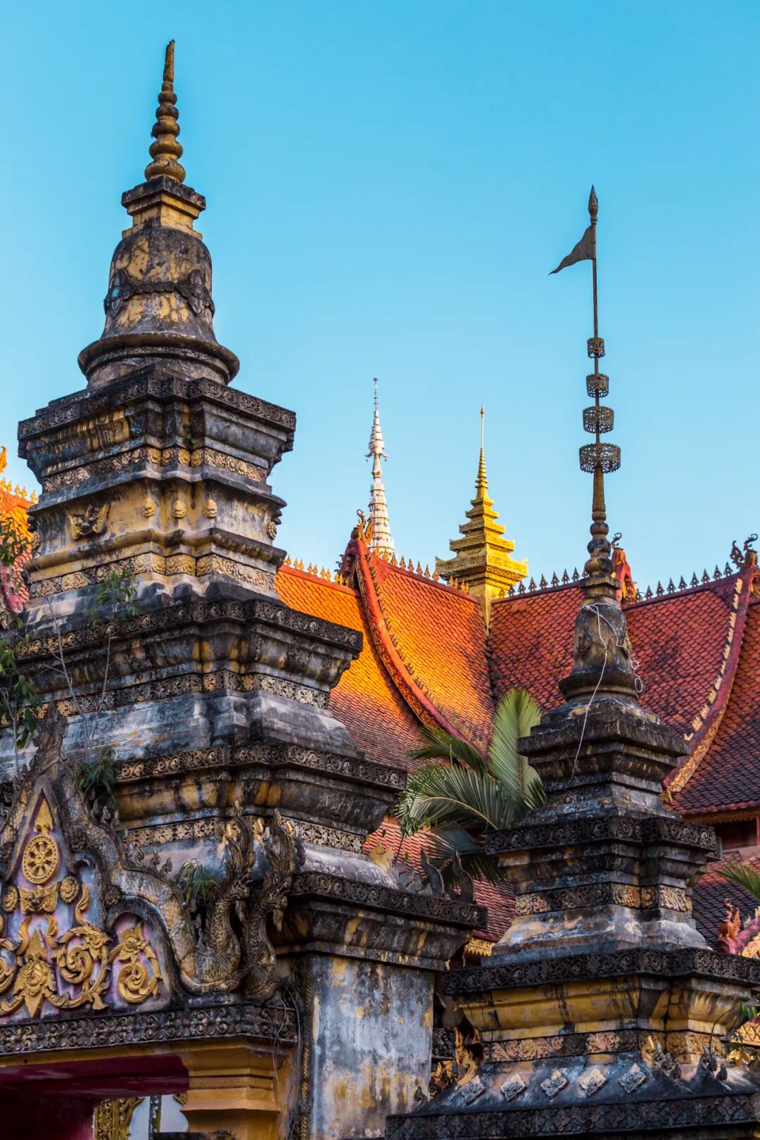 Image related to Rainforest Elephant Water Festival: Guess This Southern City Where People Wear Short Sleeves in Winter!