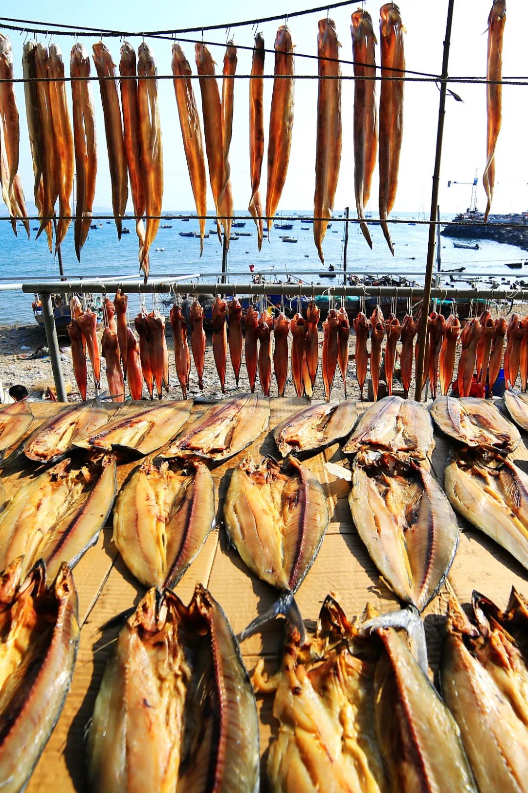 Image related to This Underrated Northern Province Is China's Seafood Secret, Making Abalone Affordable for All