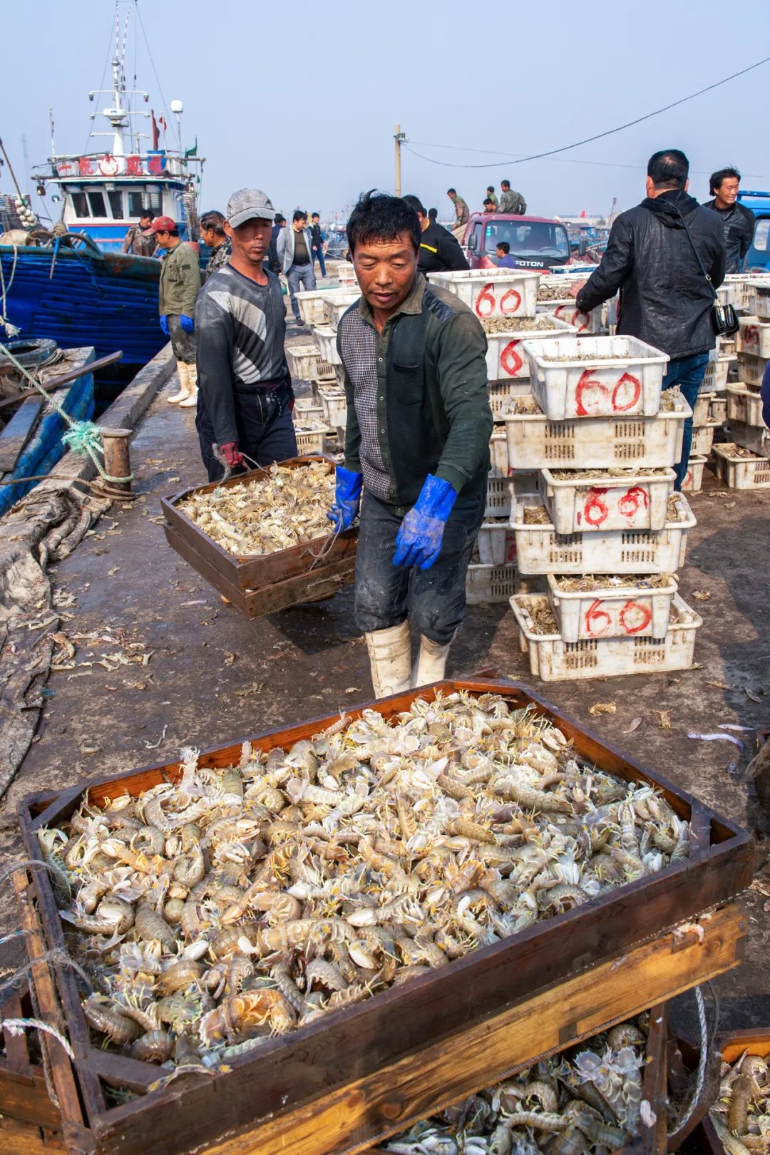 Image related to This Underrated Northern Province Is China's Seafood Secret, Making Abalone Affordable for All