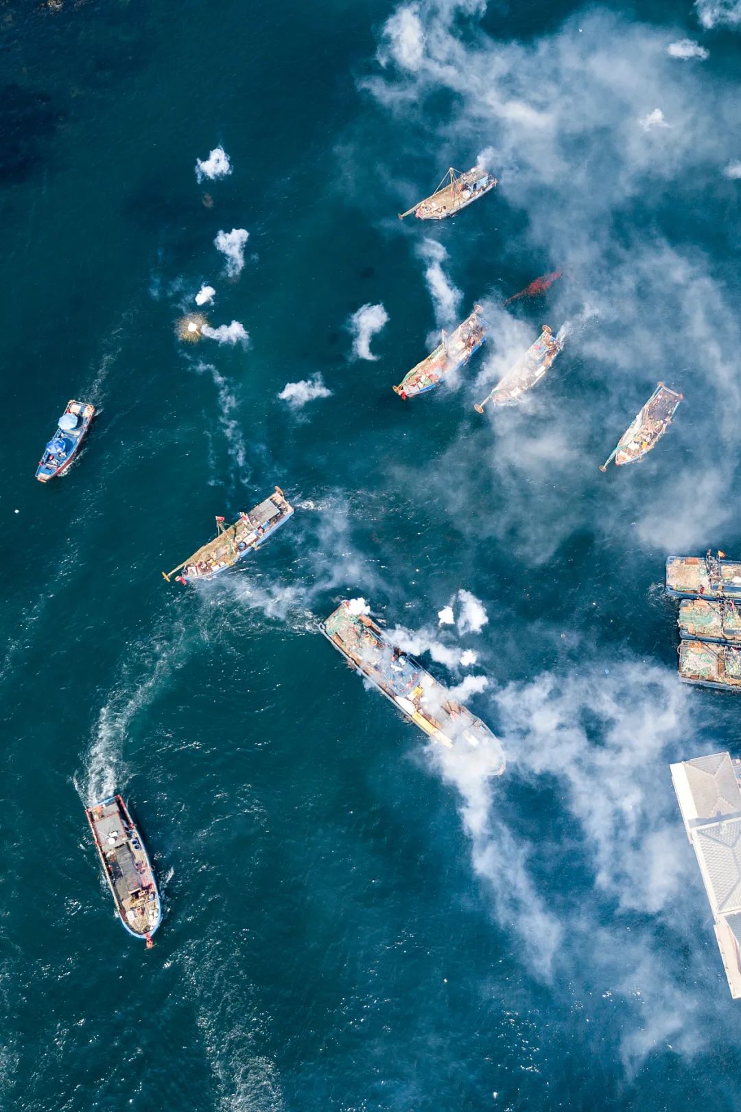 Image related to This Underrated Northern Province Is China's Seafood Secret, Making Abalone Affordable for All