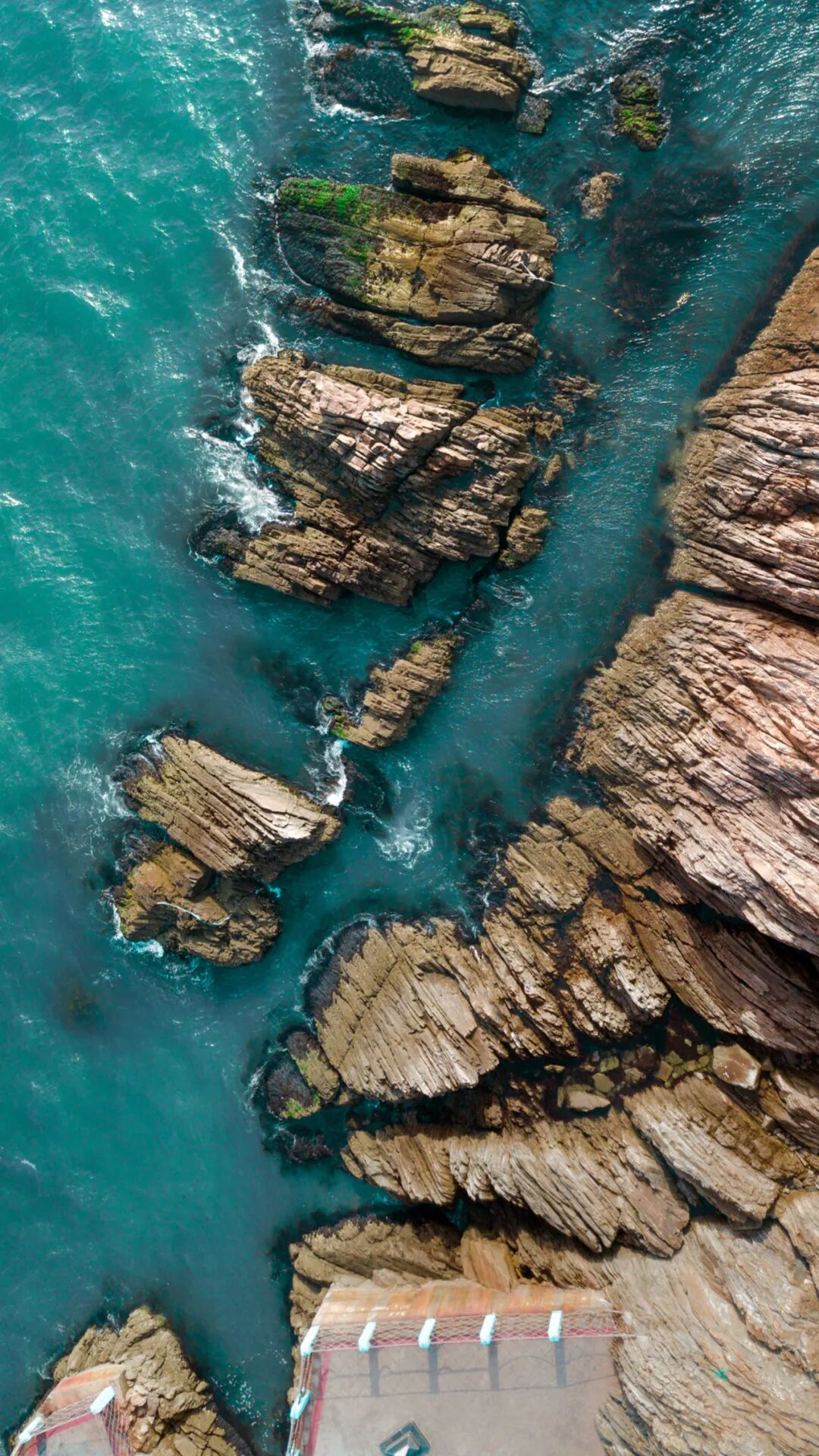 Image related to This Underrated Northern Province Is China's Seafood Secret, Making Abalone Affordable for All