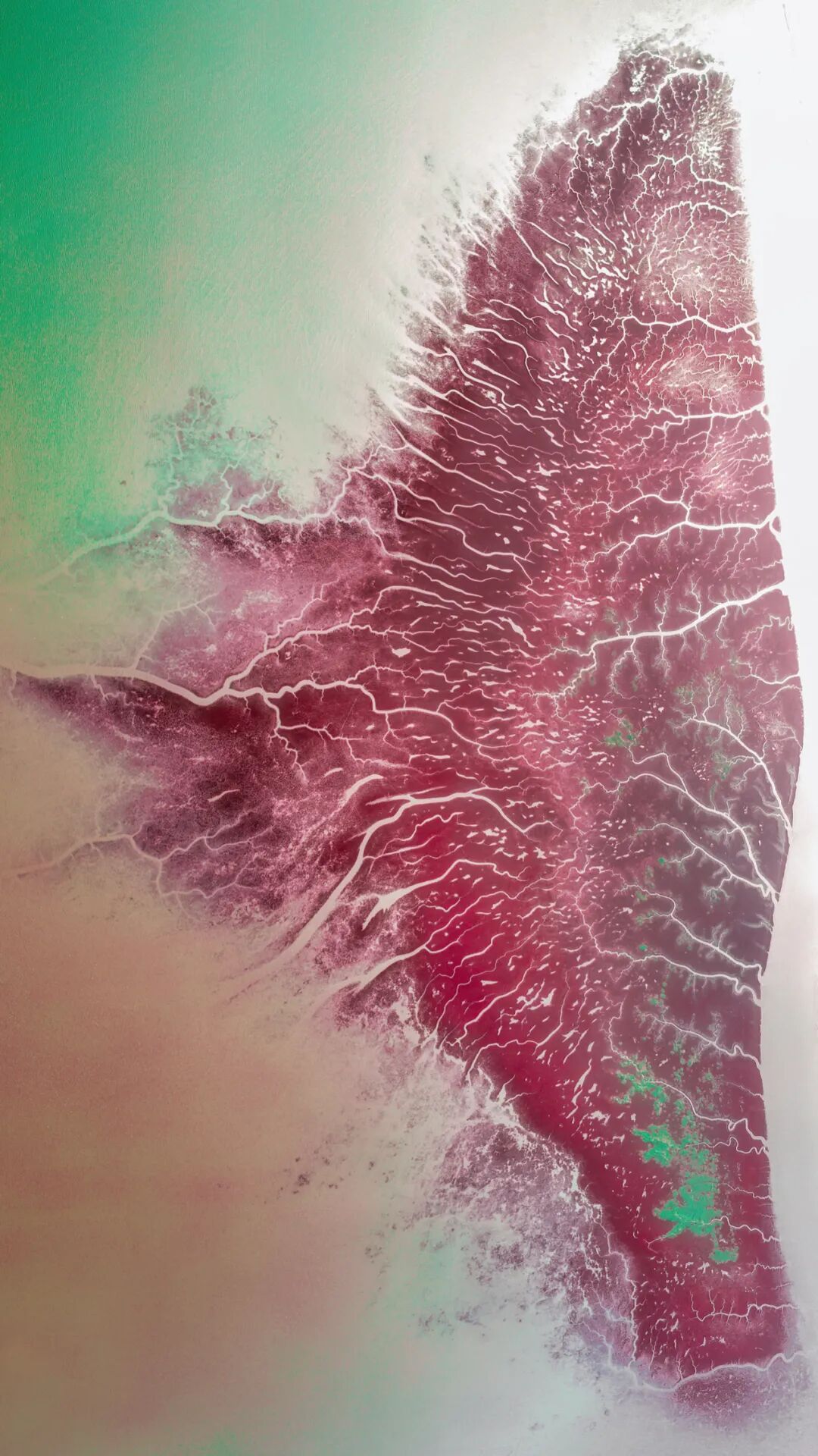 Image related to This Underrated Northern Province Is China's Seafood Secret, Making Abalone Affordable for All