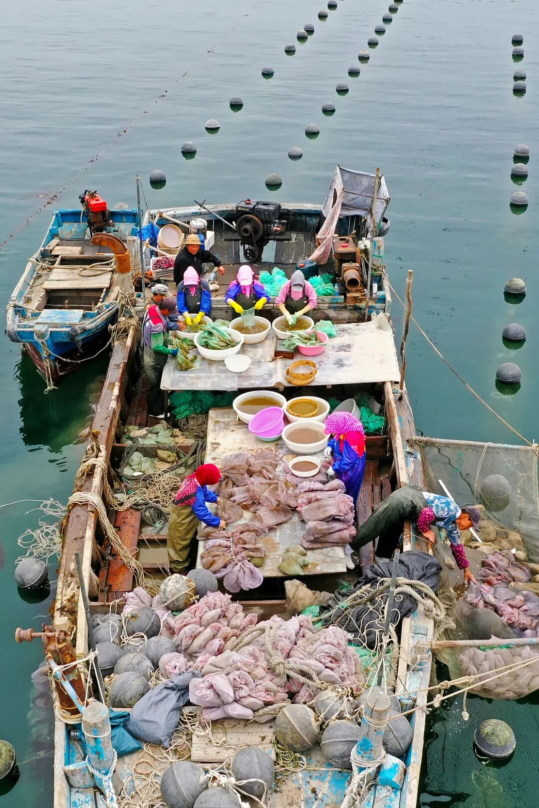 Image related to This Underrated Northern Province Is China's Seafood Secret, Making Abalone Affordable for All