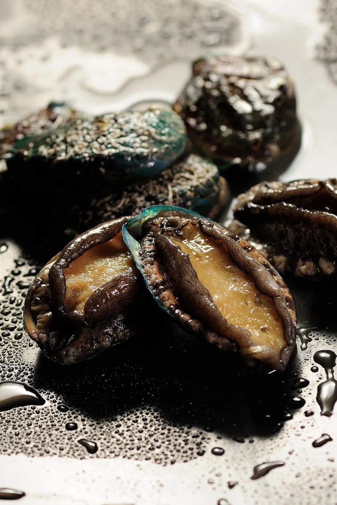 Image related to This Underrated Northern Province Is China's Seafood Secret, Making Abalone Affordable for All