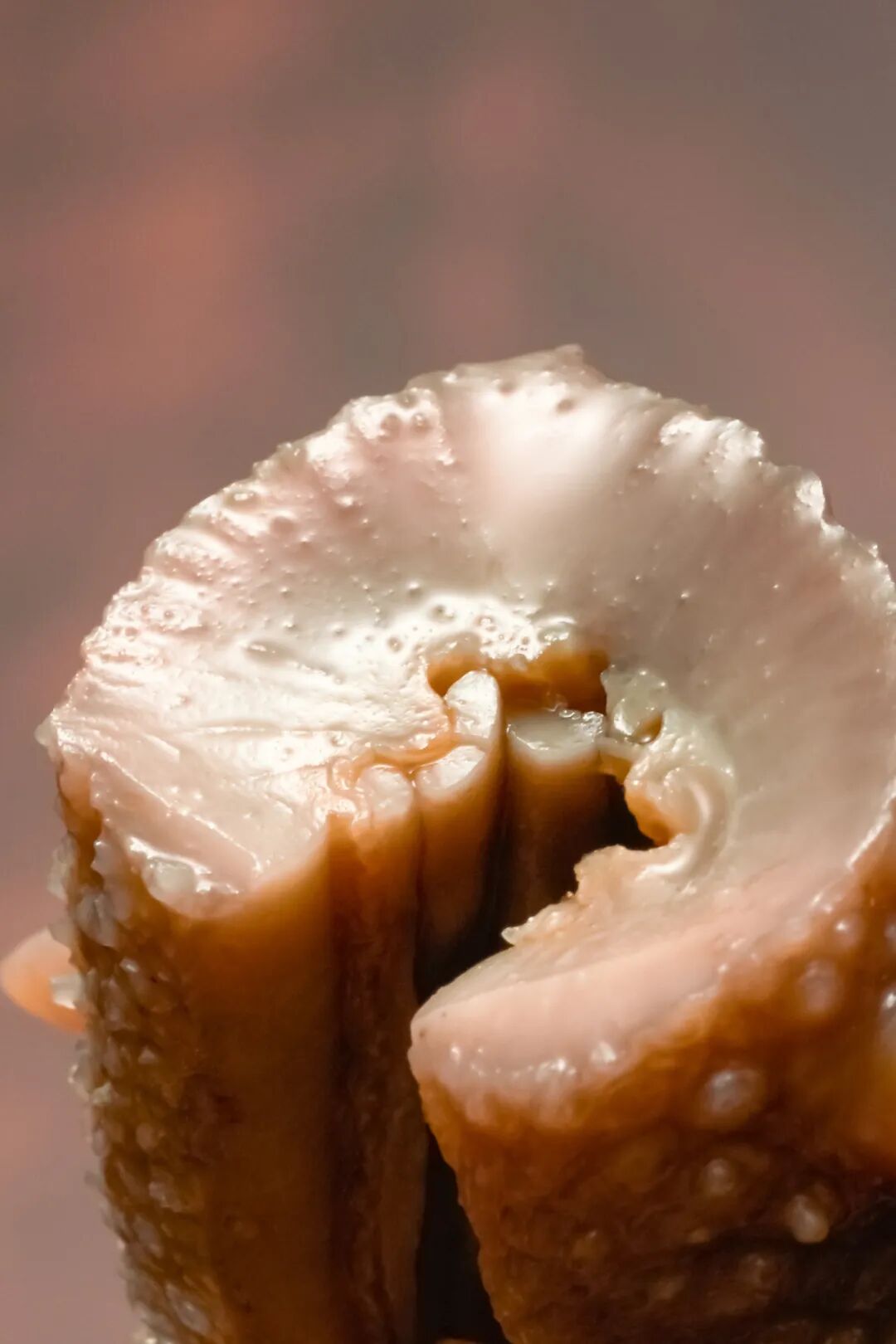 Image related to This Underrated Northern Province Is China's Seafood Secret, Making Abalone Affordable for All