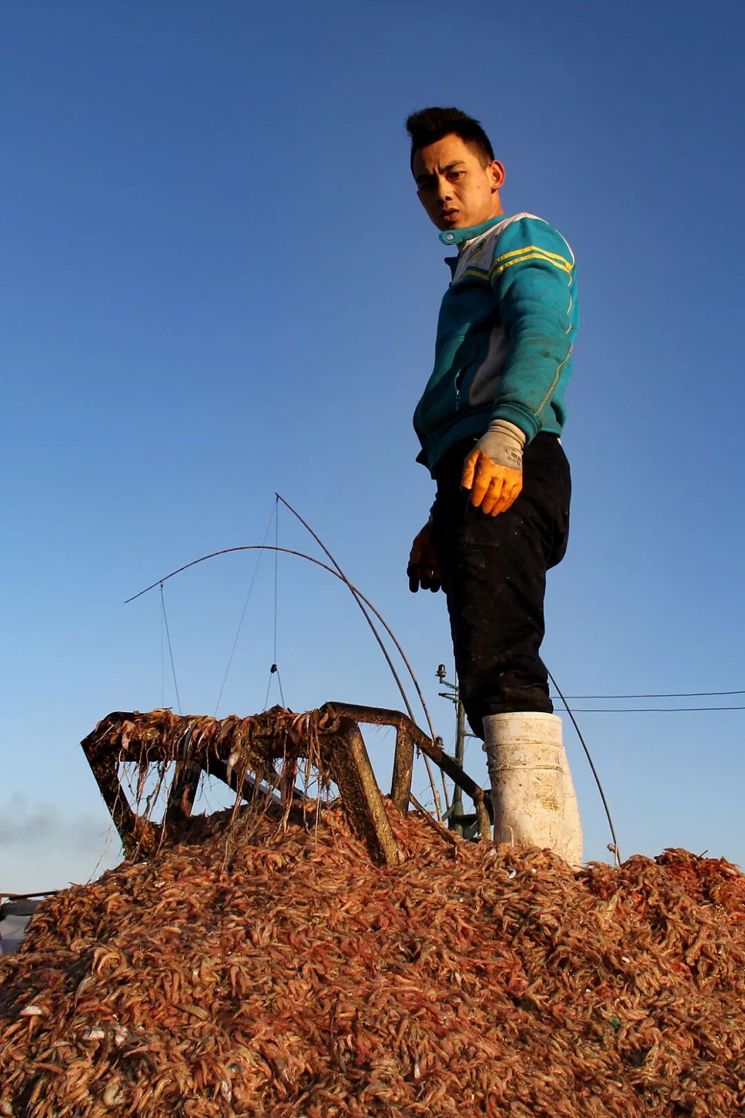 Image related to This Underrated Northern Province Is China's Seafood Secret, Making Abalone Affordable for All