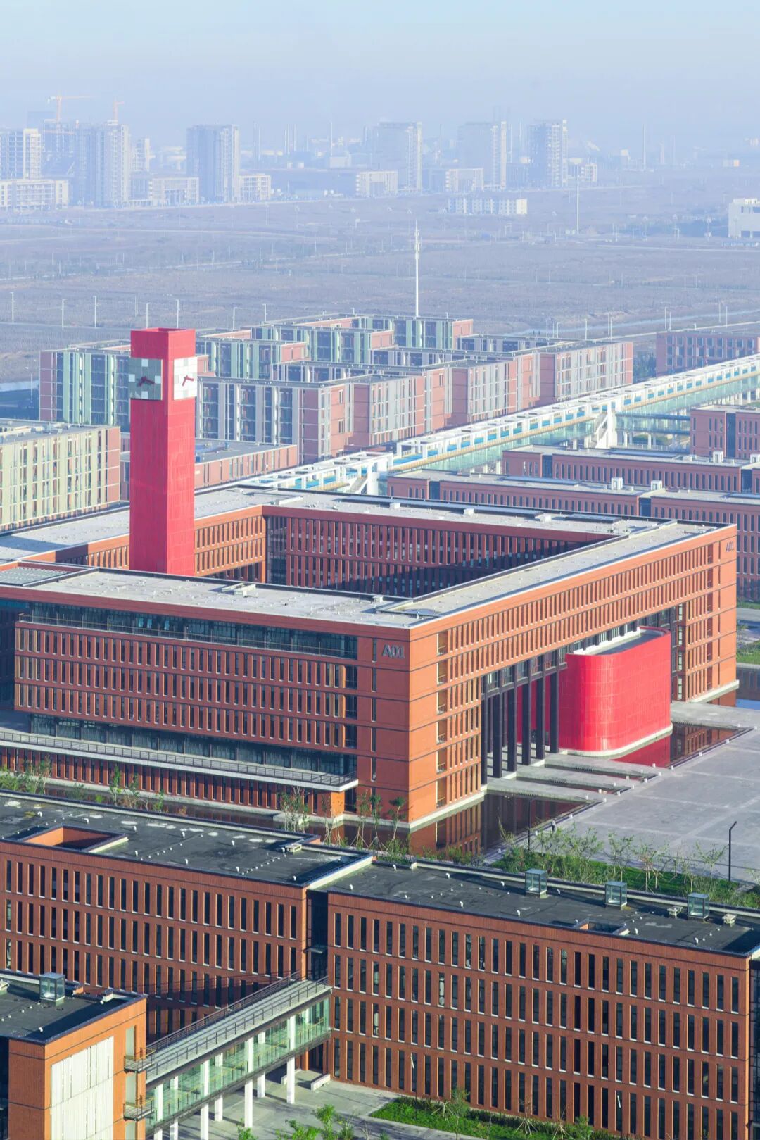 Image related to This Underrated Northern Province Is China's Seafood Secret, Making Abalone Affordable for All