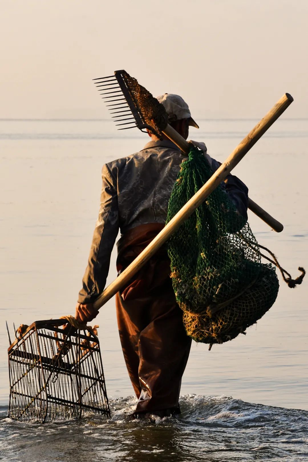 Image related to This Underrated Northern Province Is China's Seafood Secret, Making Abalone Affordable for All