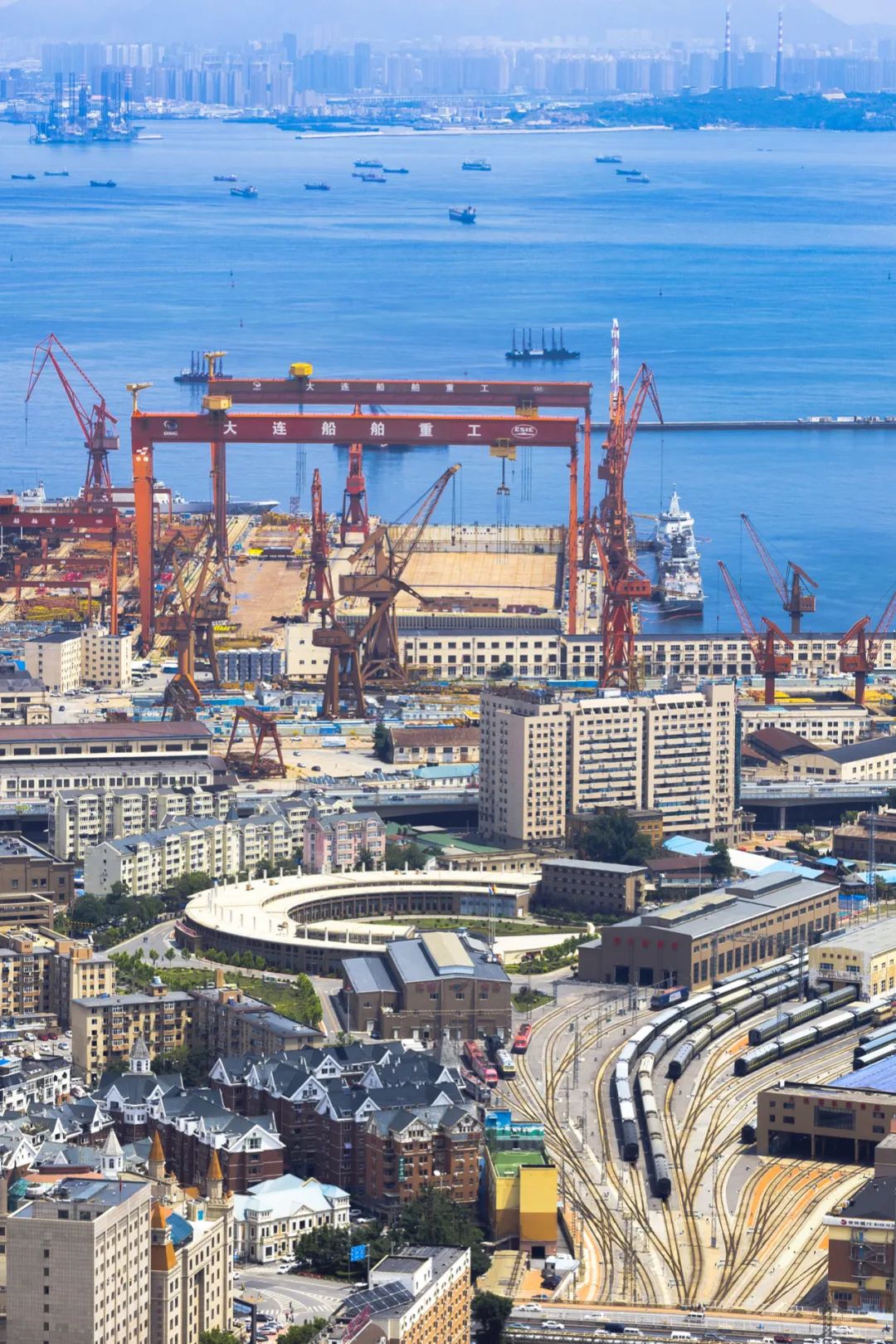 Image related to This Underrated Northern Province Is China's Seafood Secret, Making Abalone Affordable for All