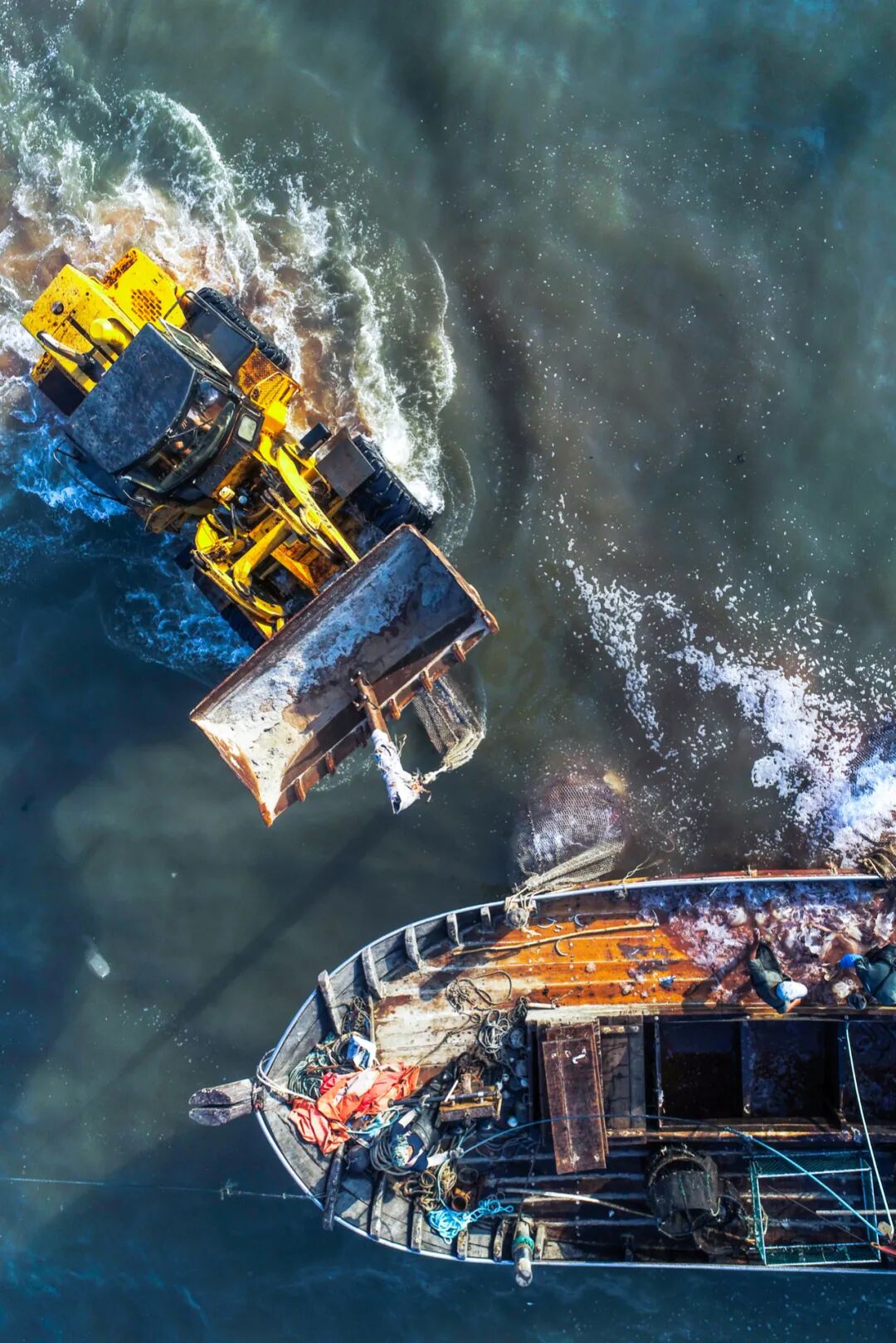 Image related to This Underrated Northern Province Is China's Seafood Secret, Making Abalone Affordable for All