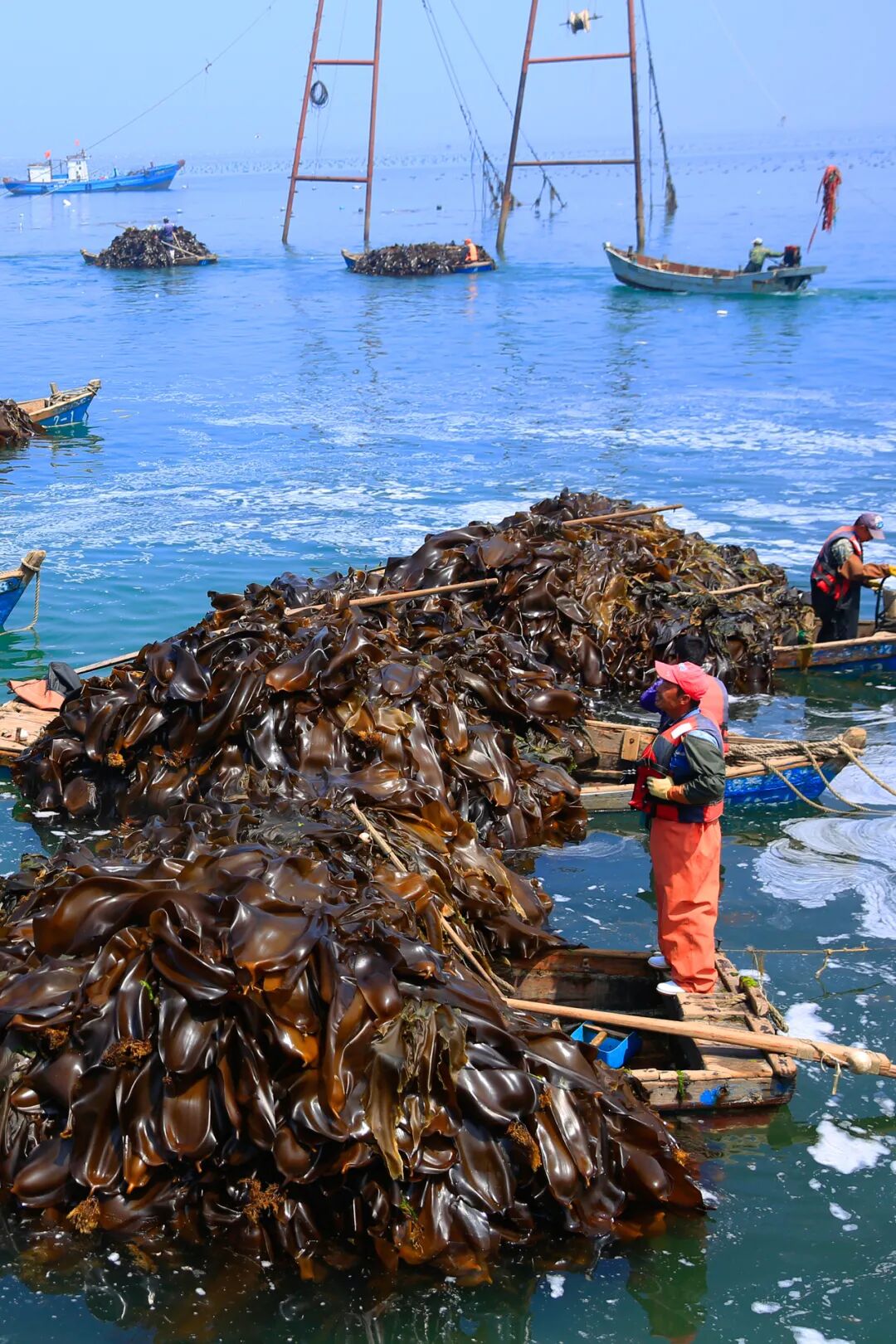 Image related to This Underrated Northern Province Is China's Seafood Secret, Making Abalone Affordable for All