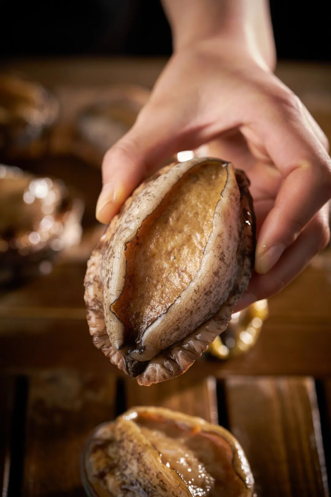 Image related to This Underrated Northern Province Is China's Seafood Secret, Making Abalone Affordable for All