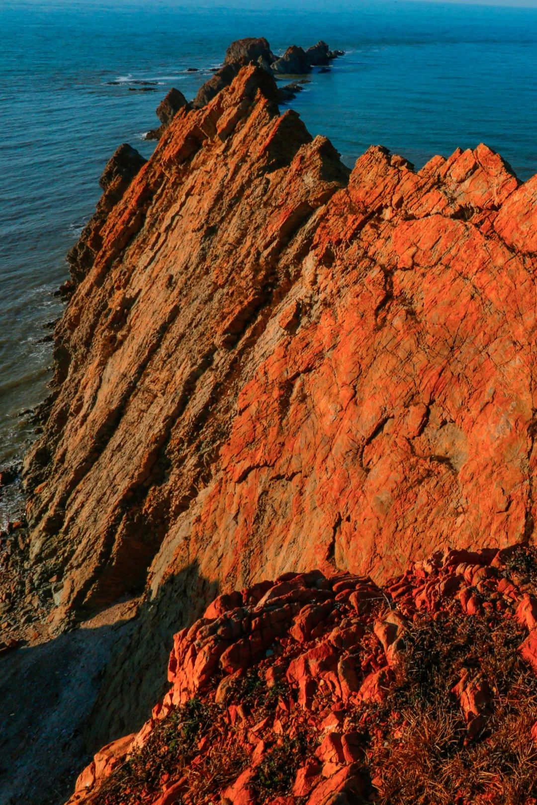 Image related to This Underrated Northern Province Is China's Seafood Secret, Making Abalone Affordable for All