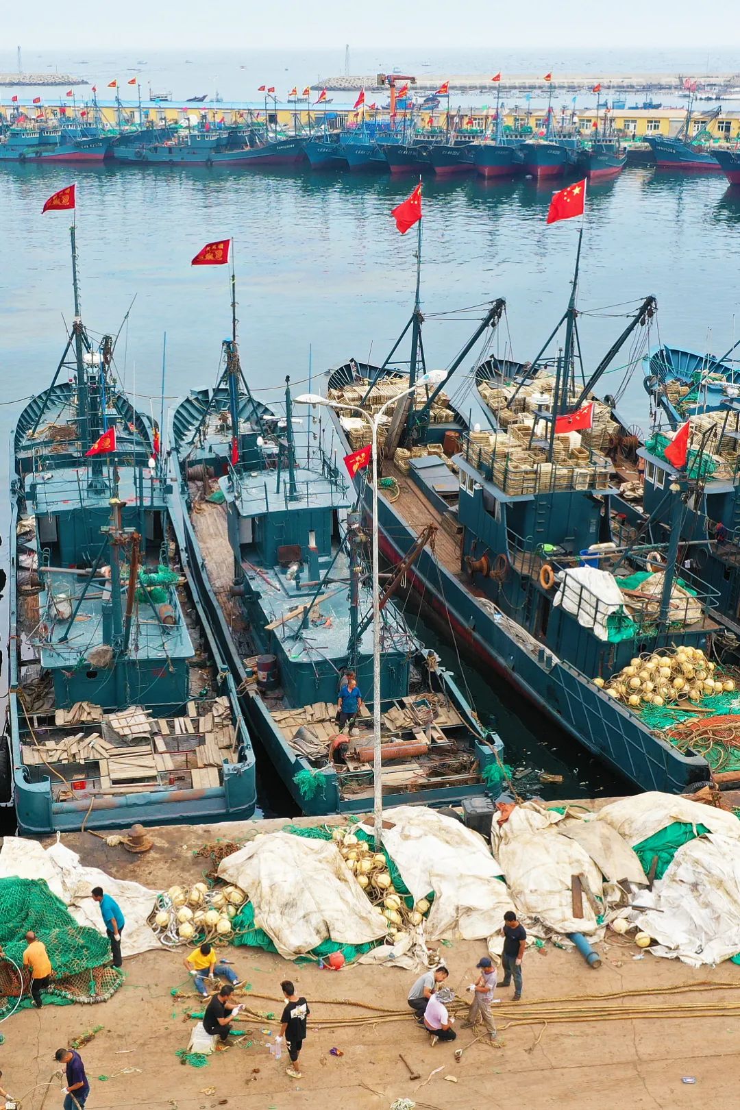 Image related to This Underrated Northern Province Is China's Seafood Secret, Making Abalone Affordable for All