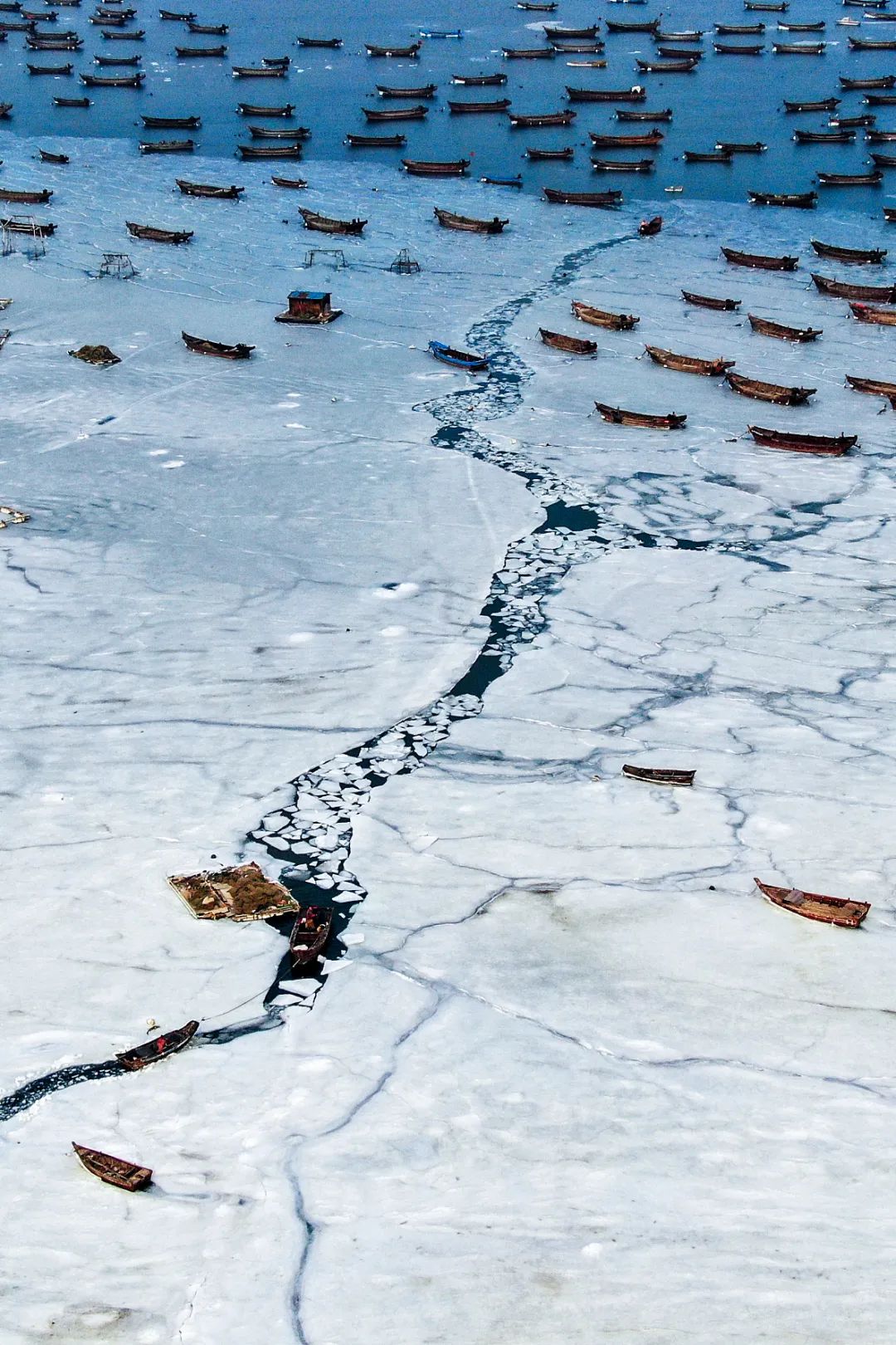 Image related to This Underrated Northern Province Is China's Seafood Secret, Making Abalone Affordable for All