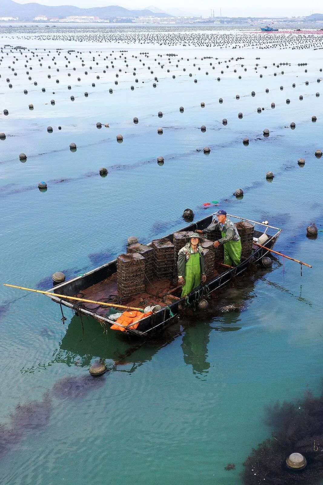 Image related to This Underrated Northern Province Is China's Seafood Secret, Making Abalone Affordable for All