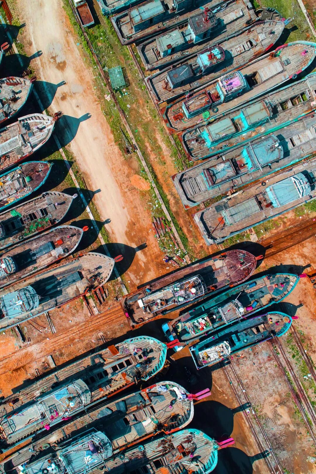 Image related to This Underrated Northern Province Is China's Seafood Secret, Making Abalone Affordable for All