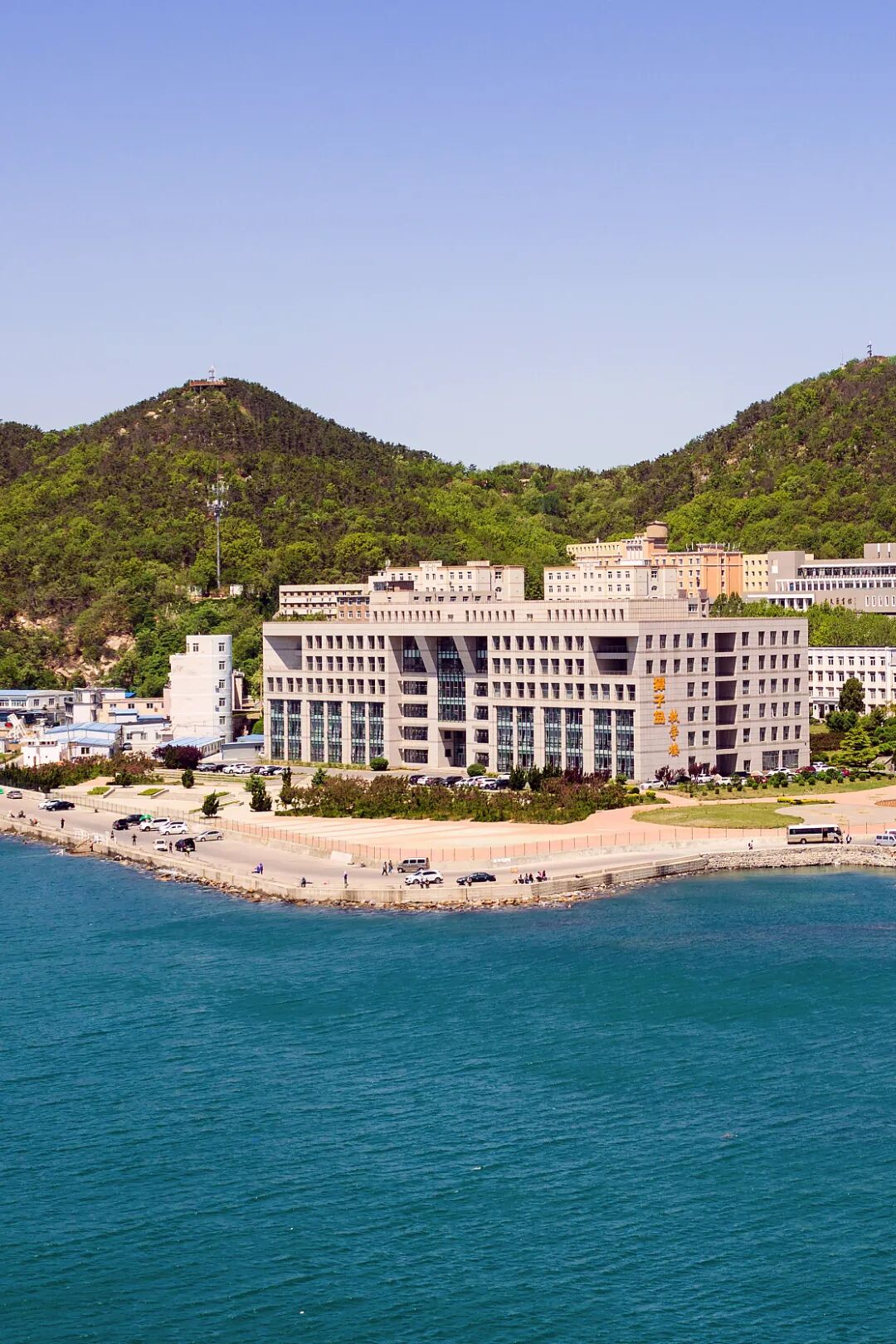 Image related to This Underrated Northern Province Is China's Seafood Secret, Making Abalone Affordable for All