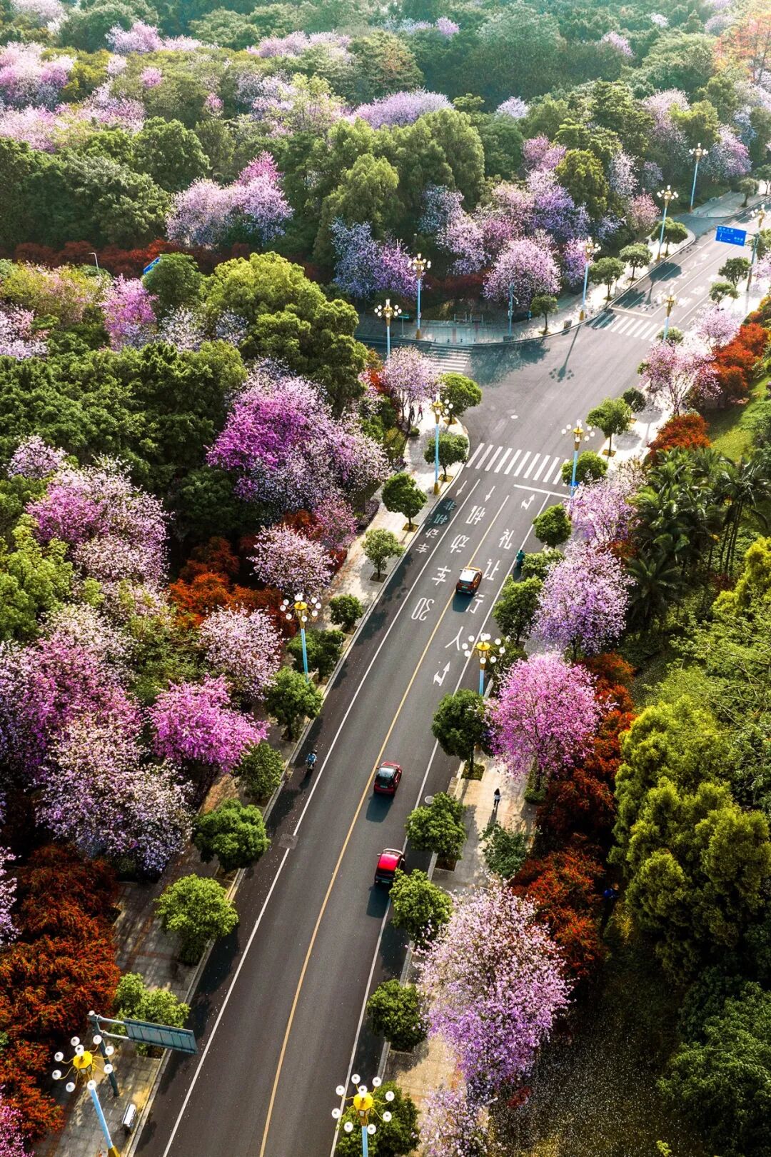 Image related to Why Liuzhou Is Considered Guangxi's Most Underrated City