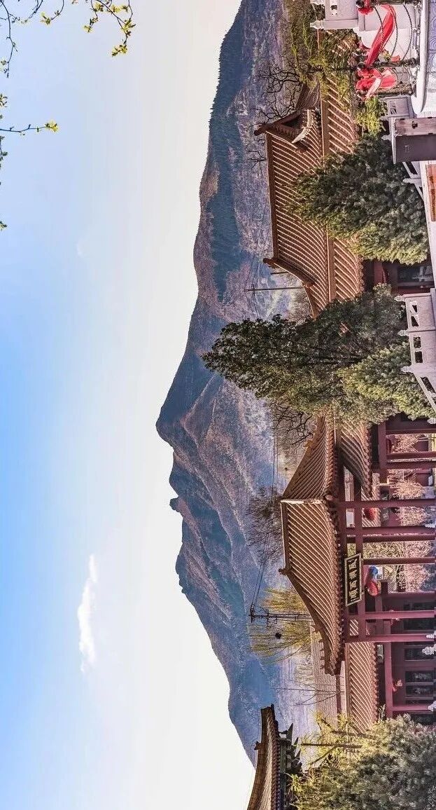 Image related to From Kites to Nobel Prizes: Why Does Weifang, Shandong Always Reach for the Sky?