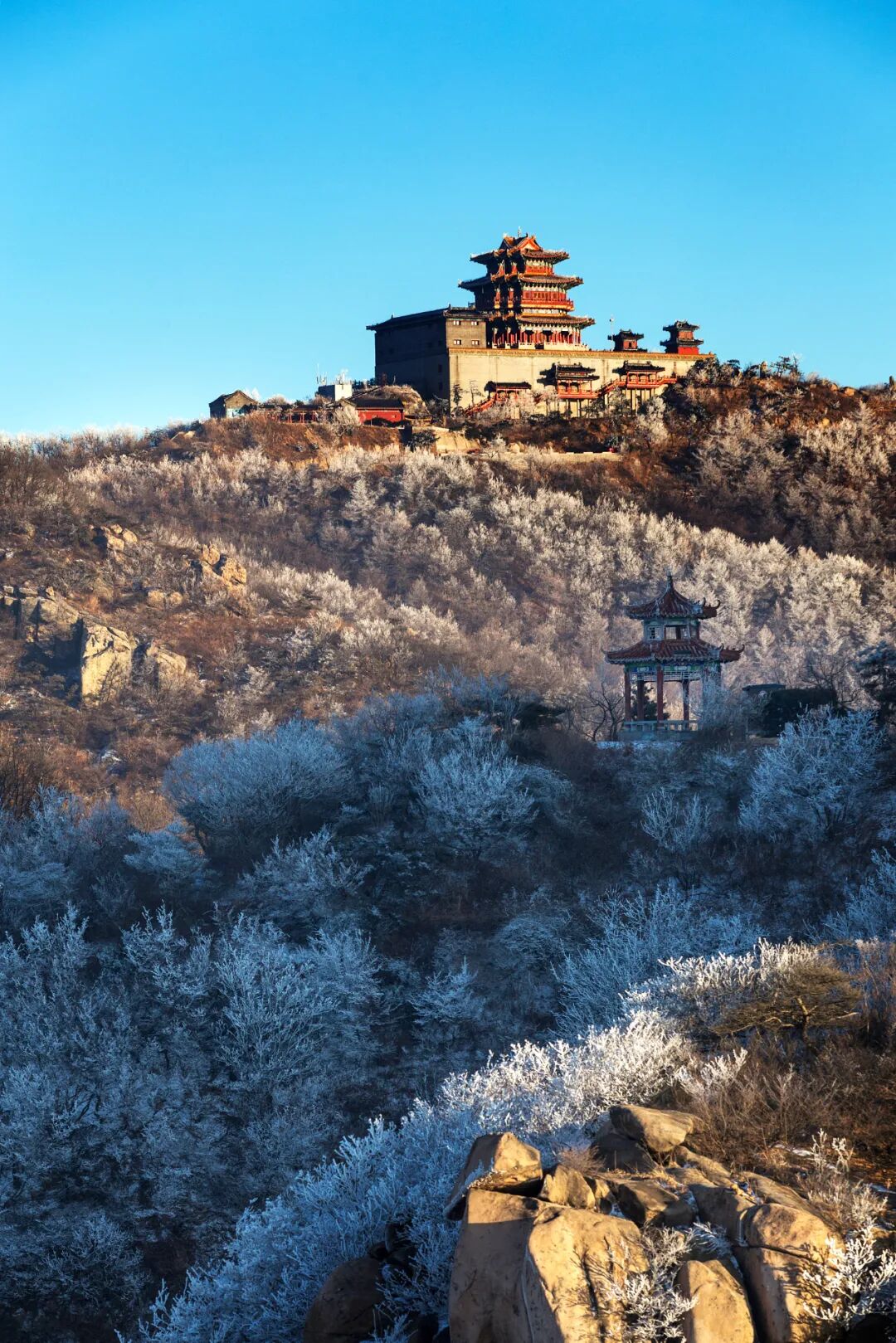 Image related to From Kites to Nobel Prizes: Why Does Weifang, Shandong Always Reach for the Sky?
