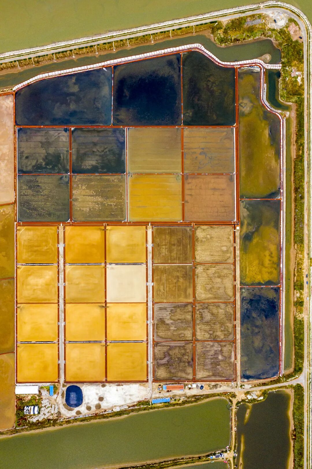 Image related to From Kites to Nobel Prizes: Why Does Weifang, Shandong Always Reach for the Sky?