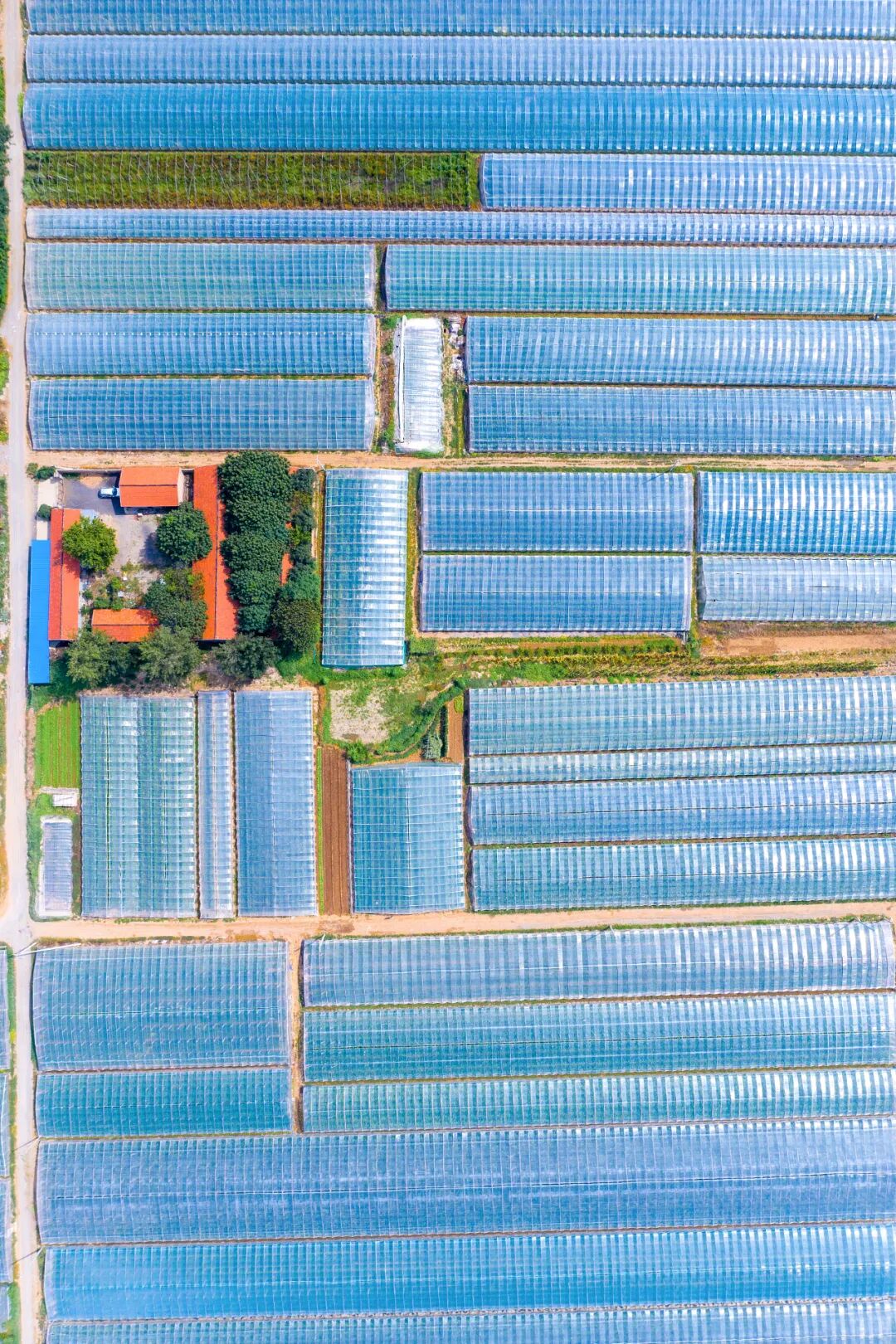 Image related to From Kites to Nobel Prizes: Why Does Weifang, Shandong Always Reach for the Sky?