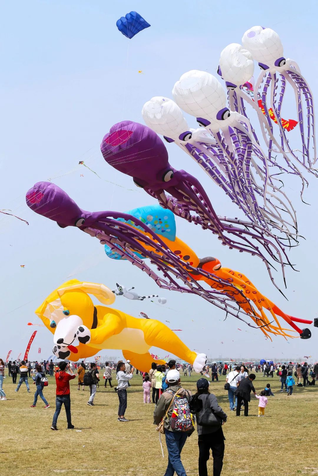 Image related to From Kites to Nobel Prizes: Why Does Weifang, Shandong Always Reach for the Sky?