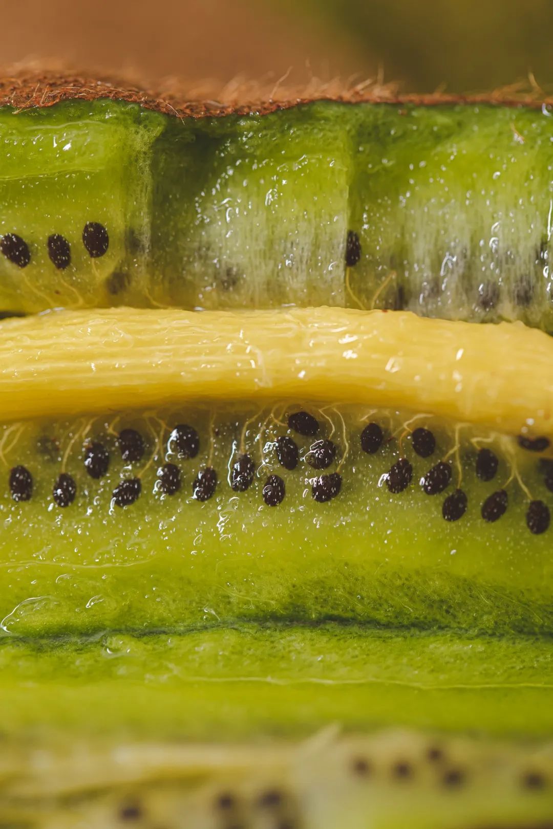 Image related to Why is Guizhou the Kiwi Kingdom?