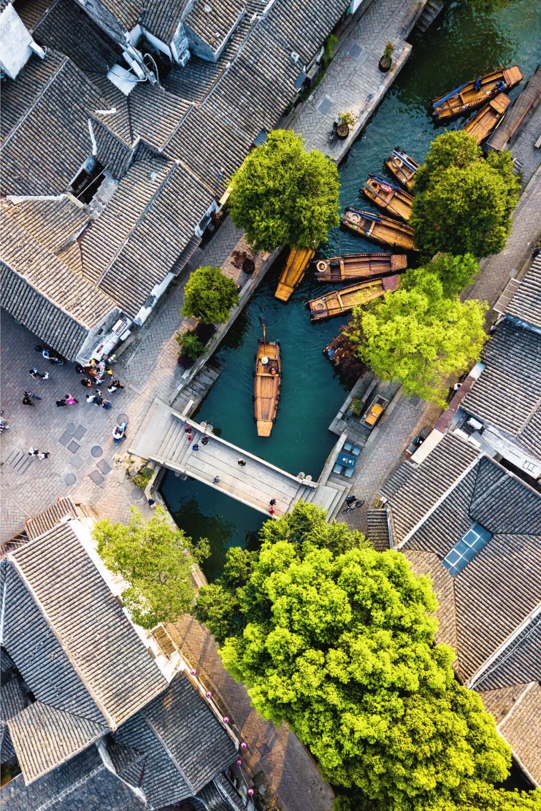 Image related to How Did This Top-Tier Chinese City Become the "Chosen One"?