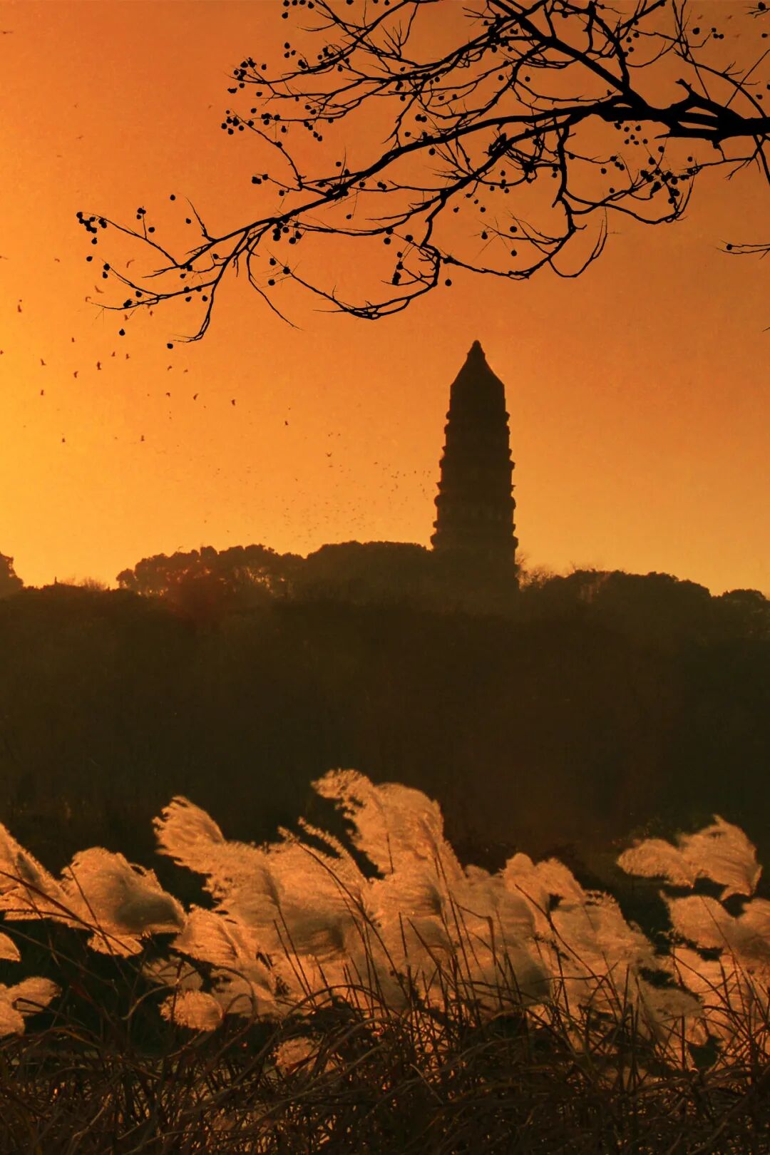 Image related to How Did This Top-Tier Chinese City Become the "Chosen One"?