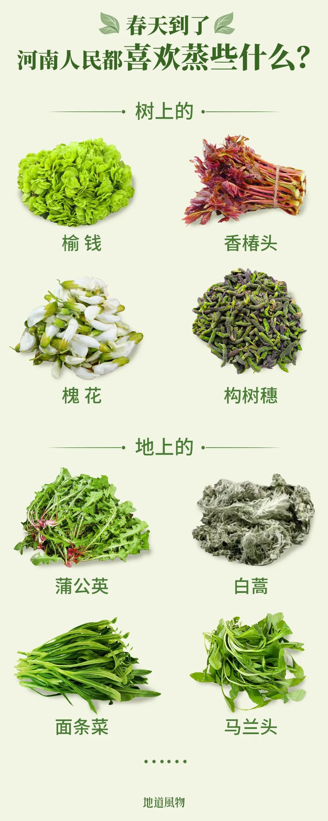 Image related to China's Hidden Spring Delicacy: How This Underrated Ingredient Conquered 100 Million Dining Tables