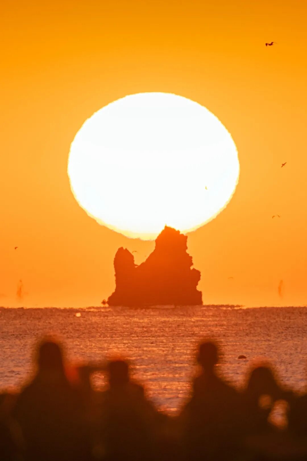 Image related to The Top Prefecture-Level City in Northern China: Its GDP Outshines All Provincial Capitals in the Region