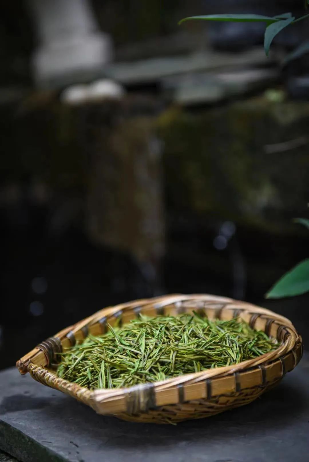 Image related to Wenzhou: Top in Money Making, Equally Fierce in Academia?