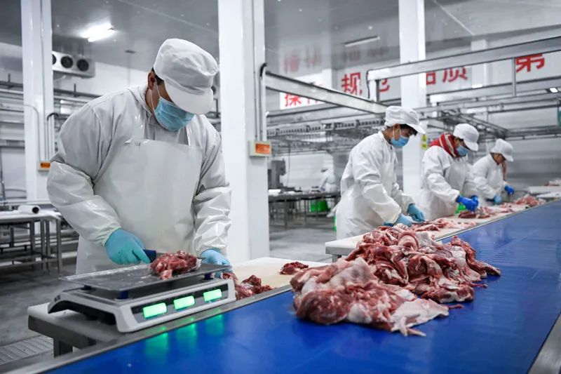 Image related to China's Lamb Meat Hierarchy: How Did It Become the Gold Standard?